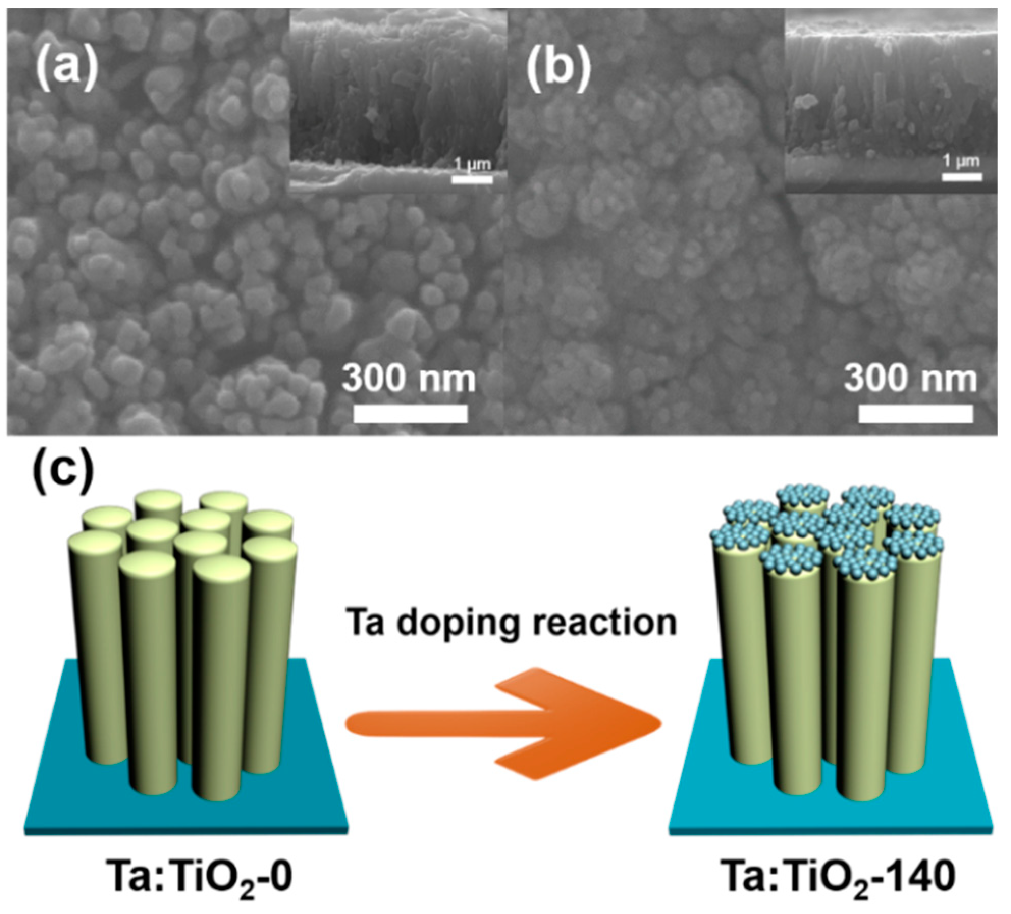 Nanomaterials 08 00983 g001 Nanomaterials 08 00983 g001