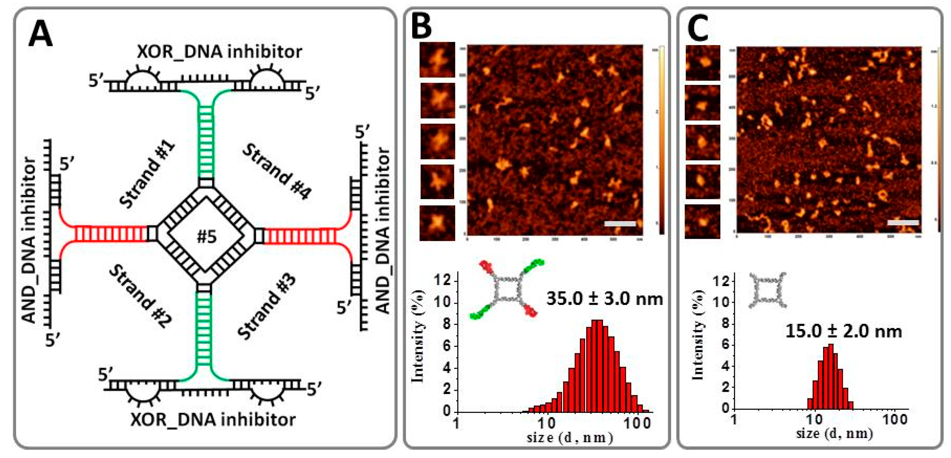 Nanomaterials 08 00984 g003