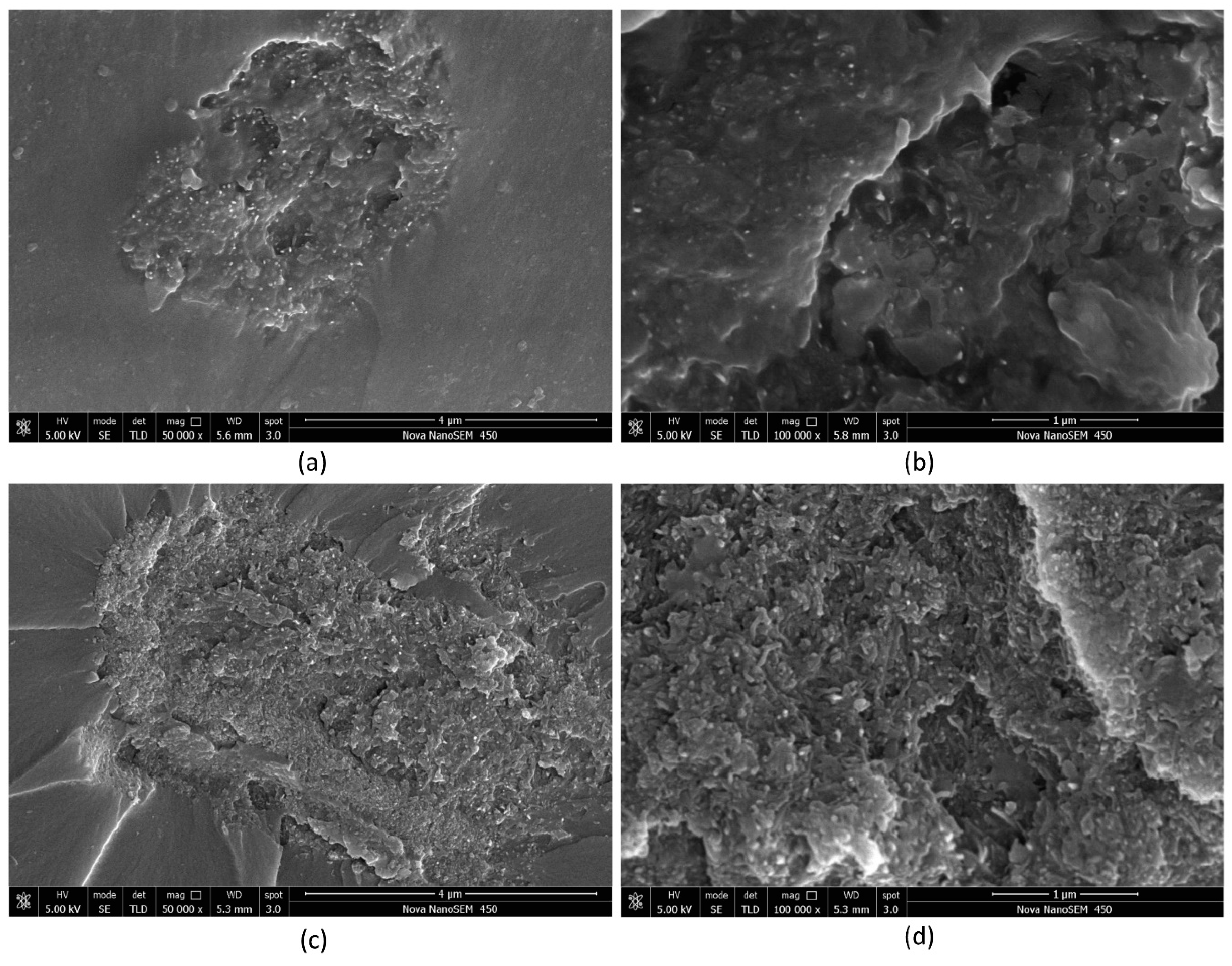 Nanomaterials 08 00996 g003