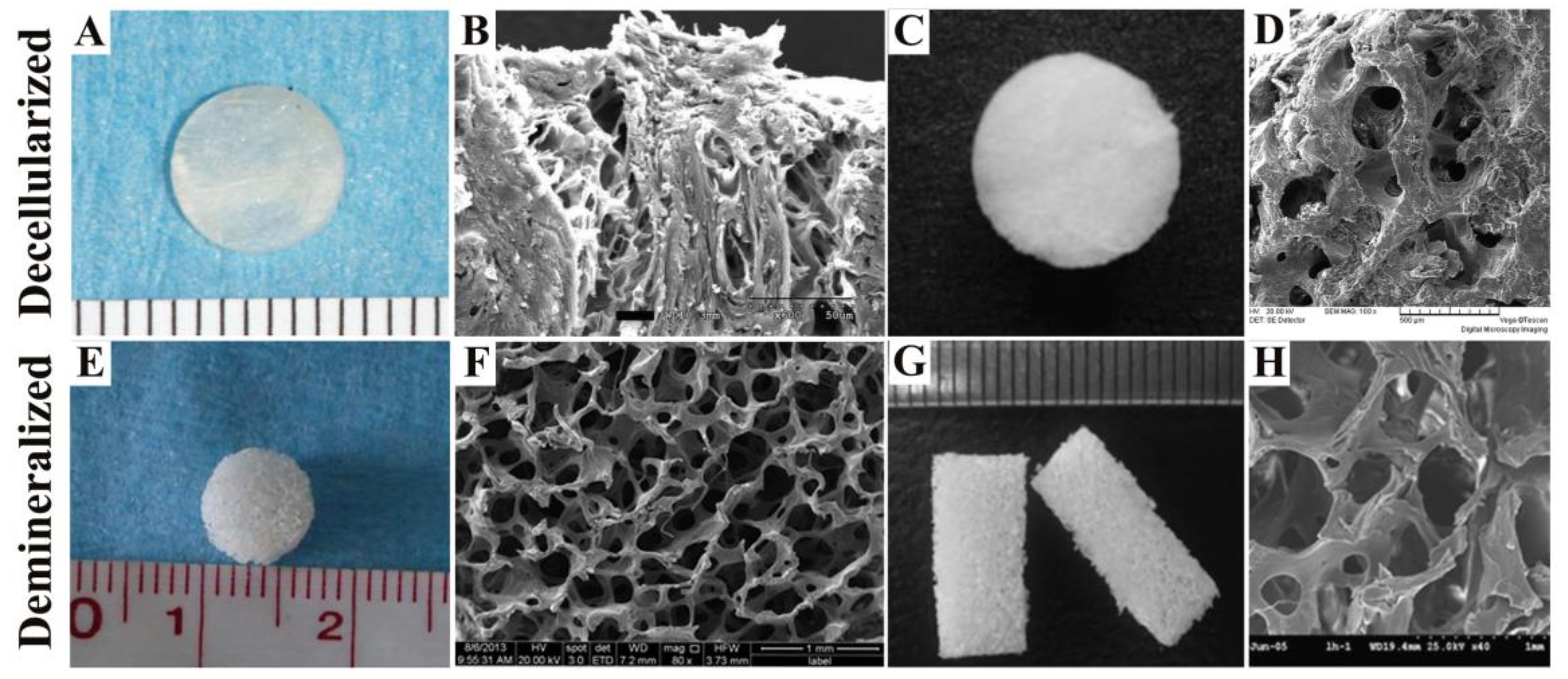 Nanomaterials 08 00999 g001 Nanomaterials 08 00999 g001
