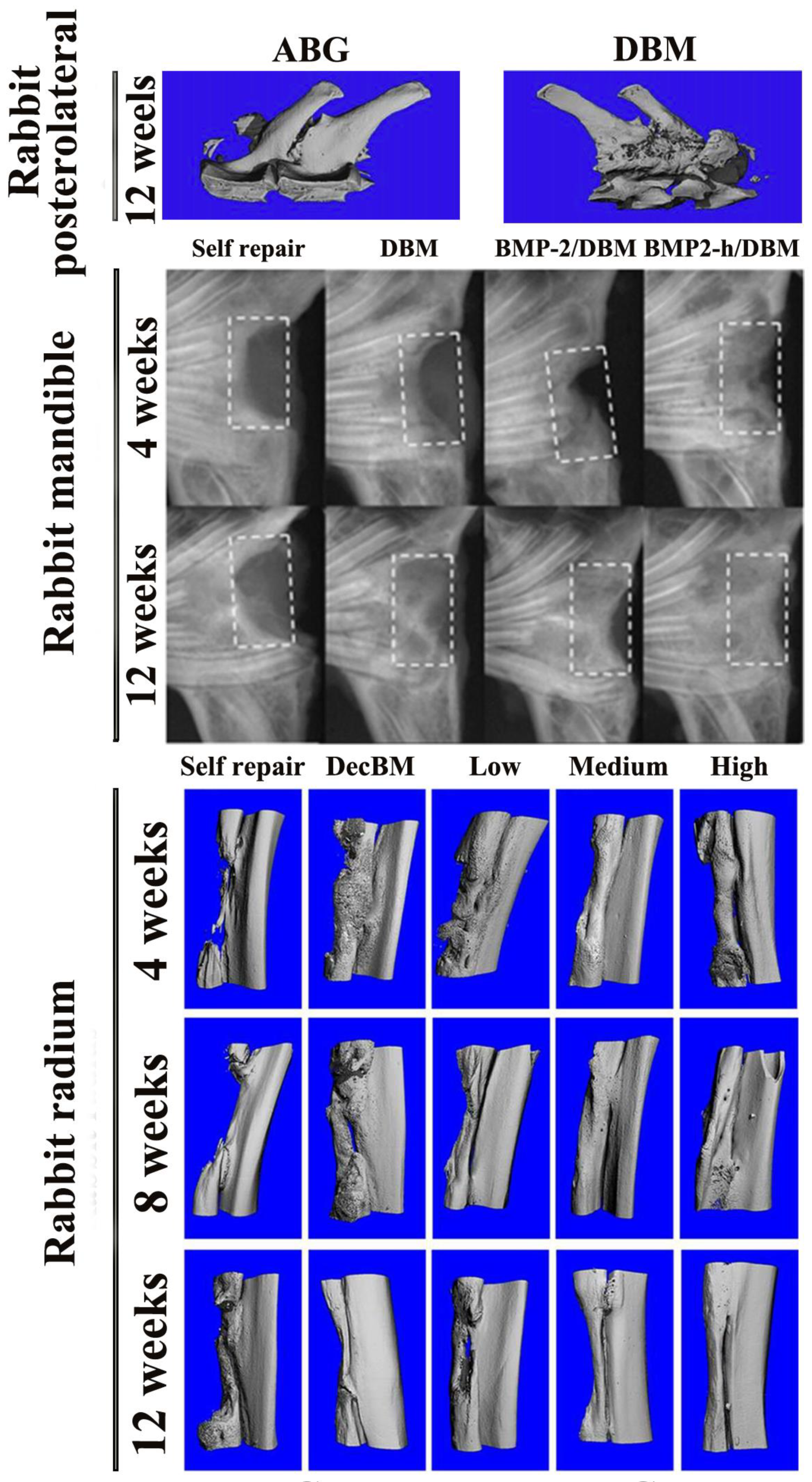 Nanomaterials 08 00999 g003 Nanomaterials 08 00999 g003