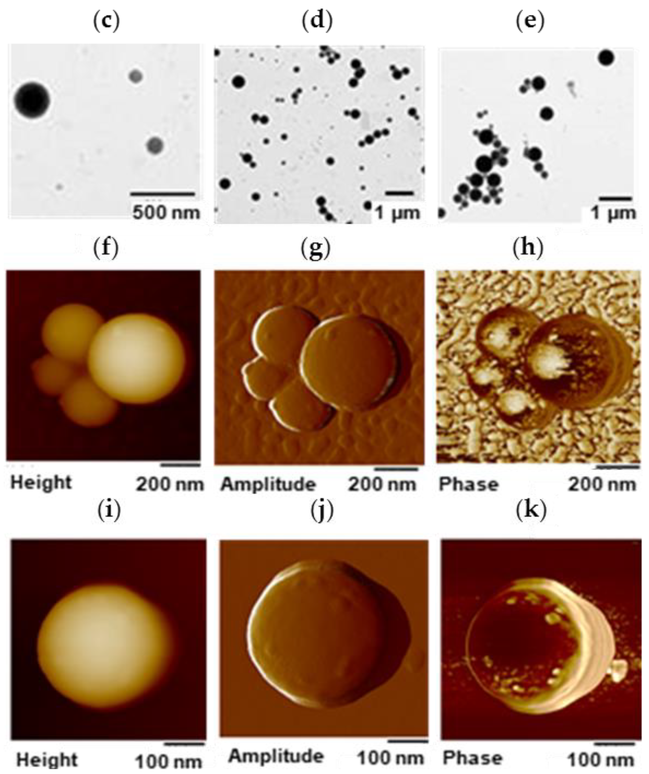 Nanomaterials 08 01001 g002b Nanomaterials 08 01001 g002b