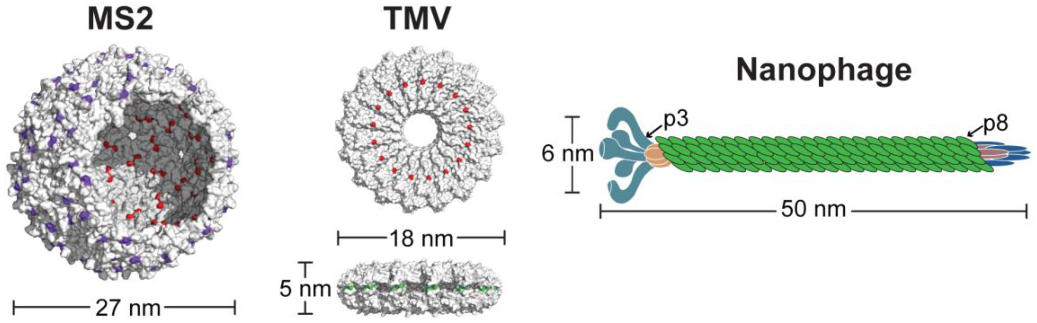 Nanomaterials 08 01007 g001