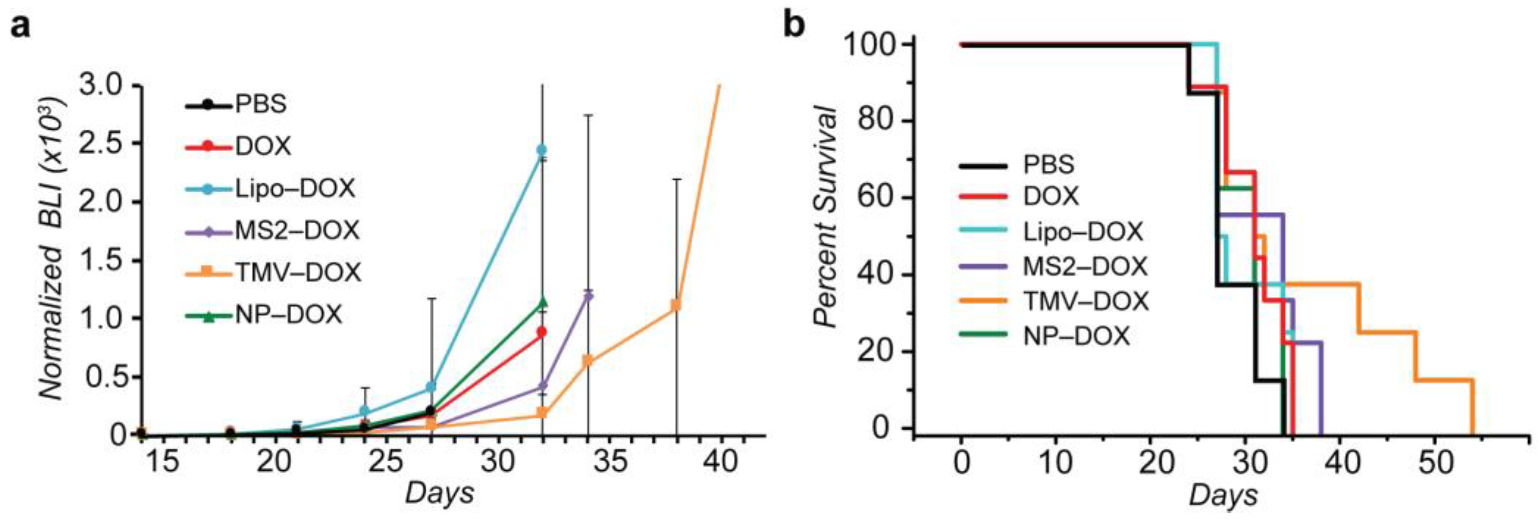 Nanomaterials 08 01007 g005