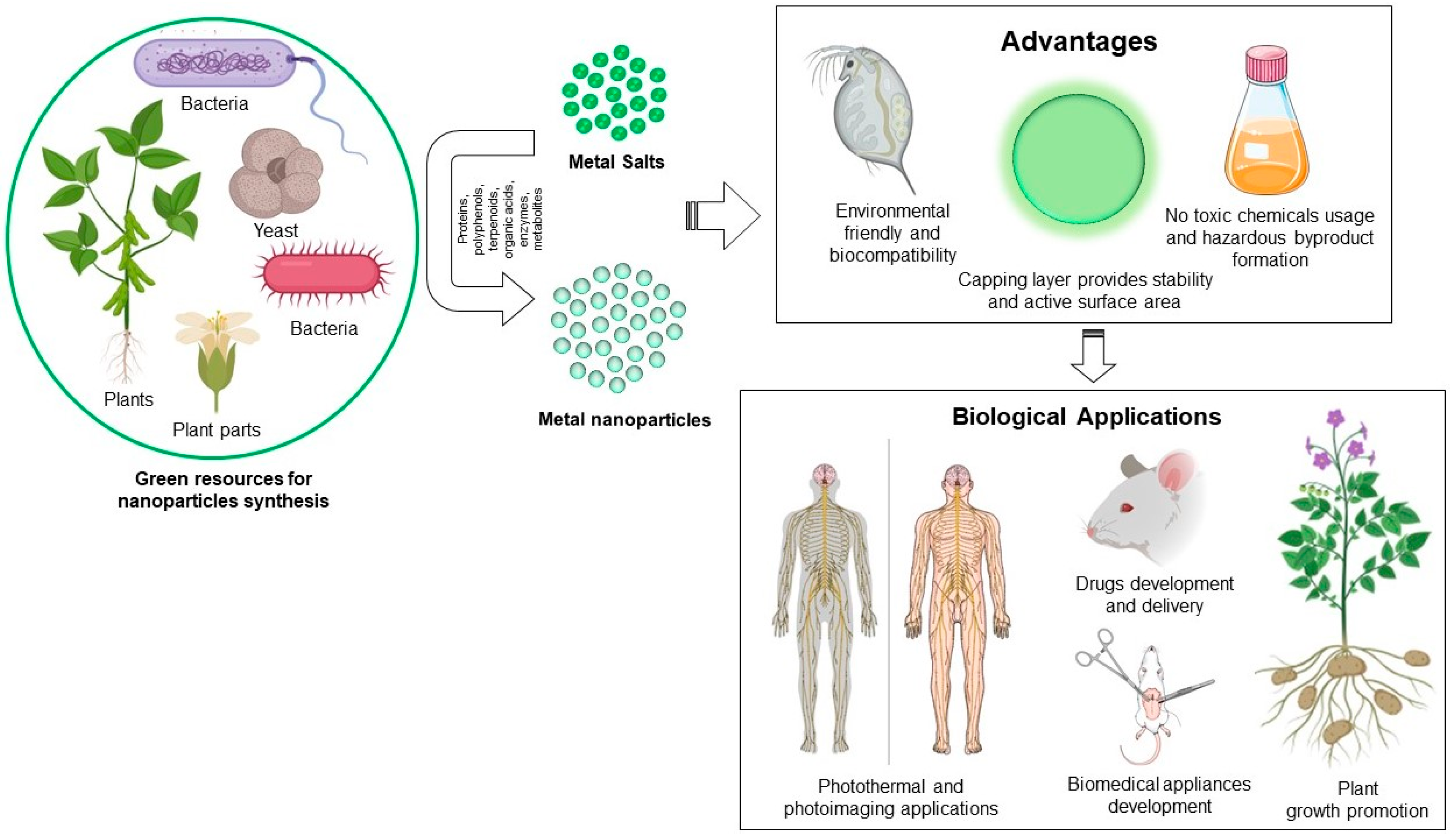 Nanomaterials 08 01009 g001
