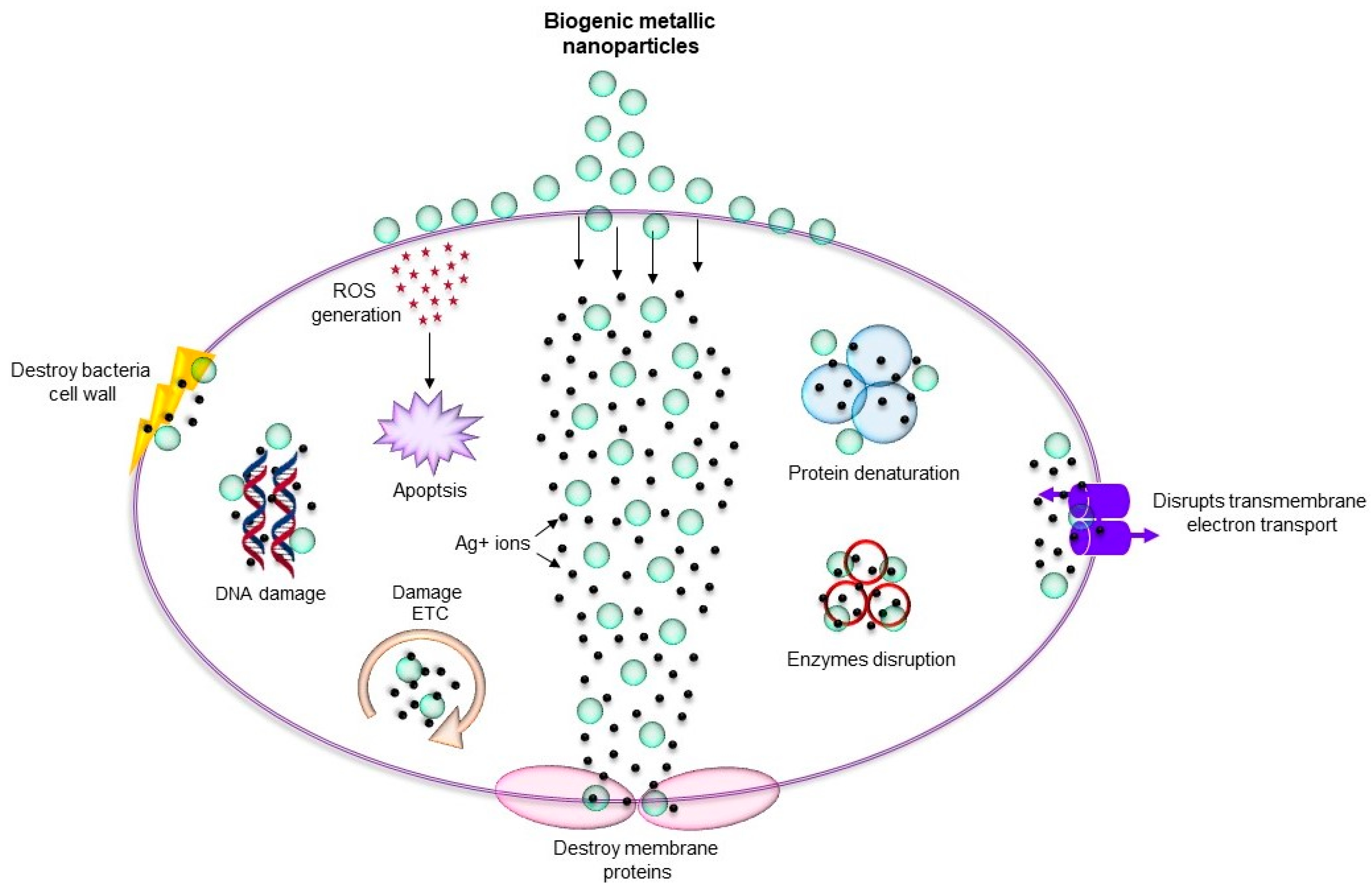 Nanomaterials 08 01009 g002