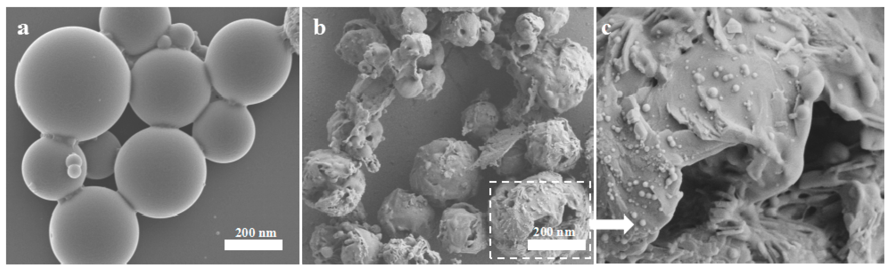 Nanomaterials 08 01016 g008