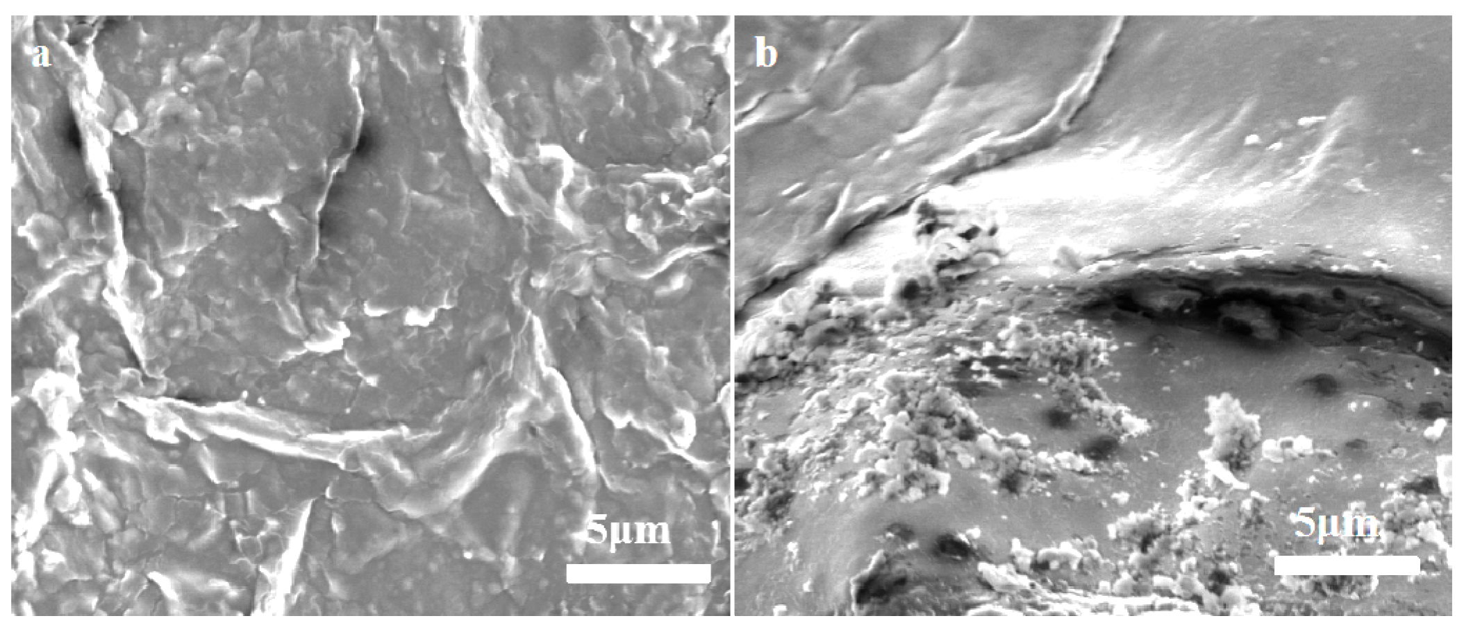 Nanomaterials 08 01016 g009