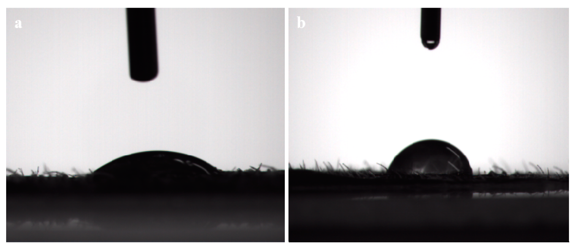 Nanomaterials 08 01016 g010