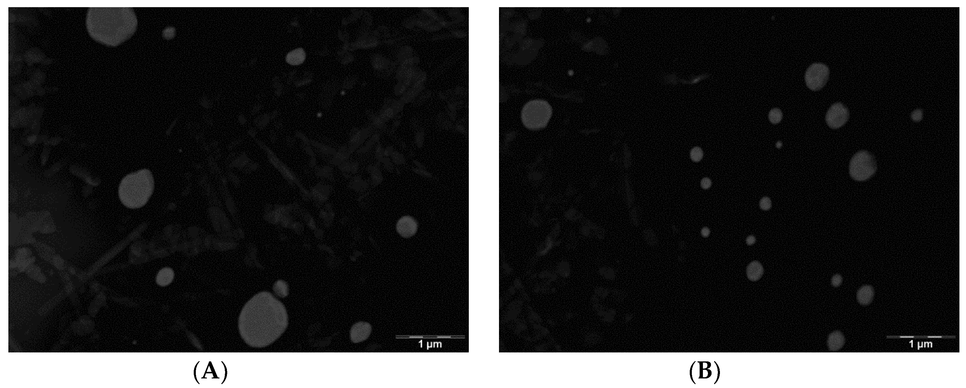 Nanomaterials 08 01022 g001