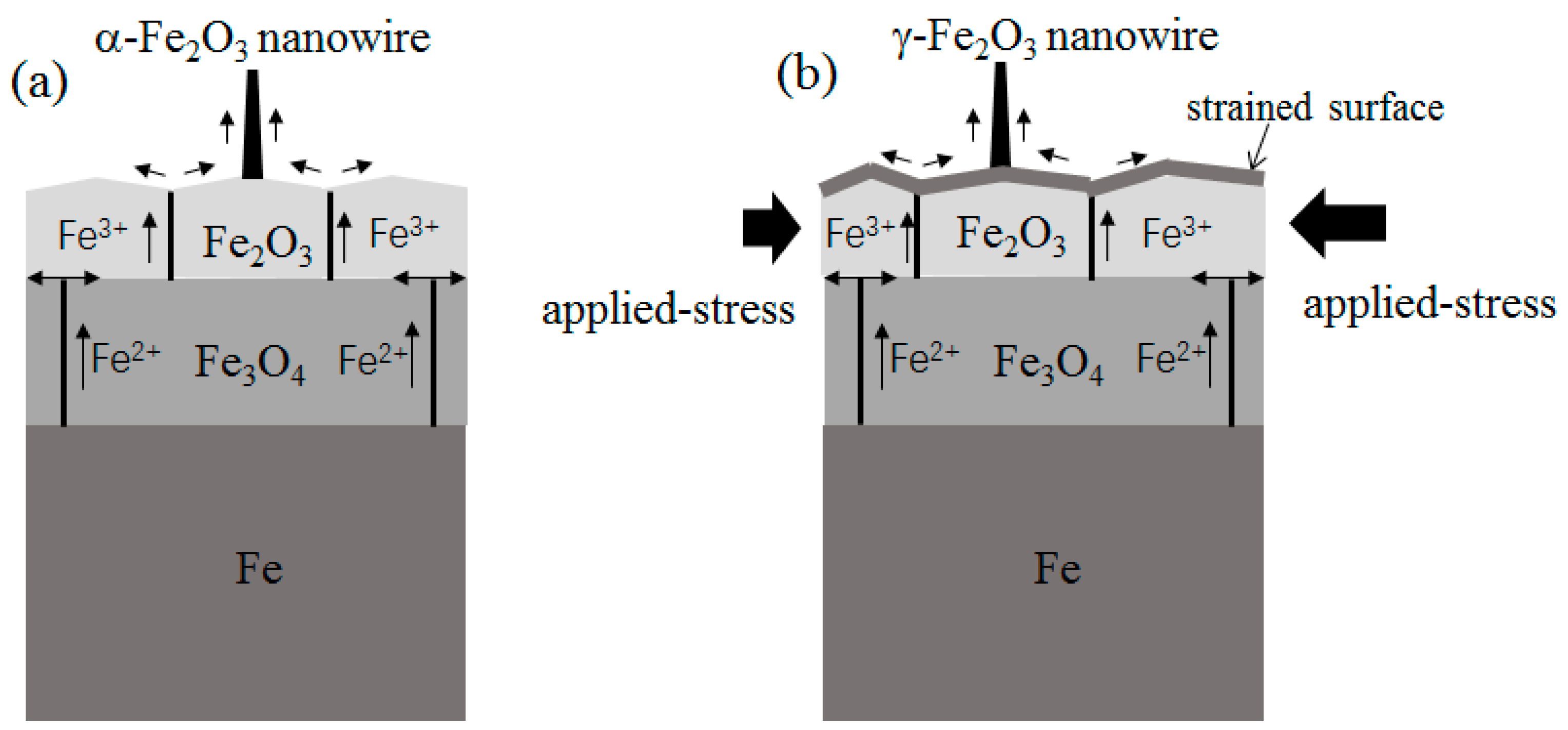Nanomaterials 08 01037 g006