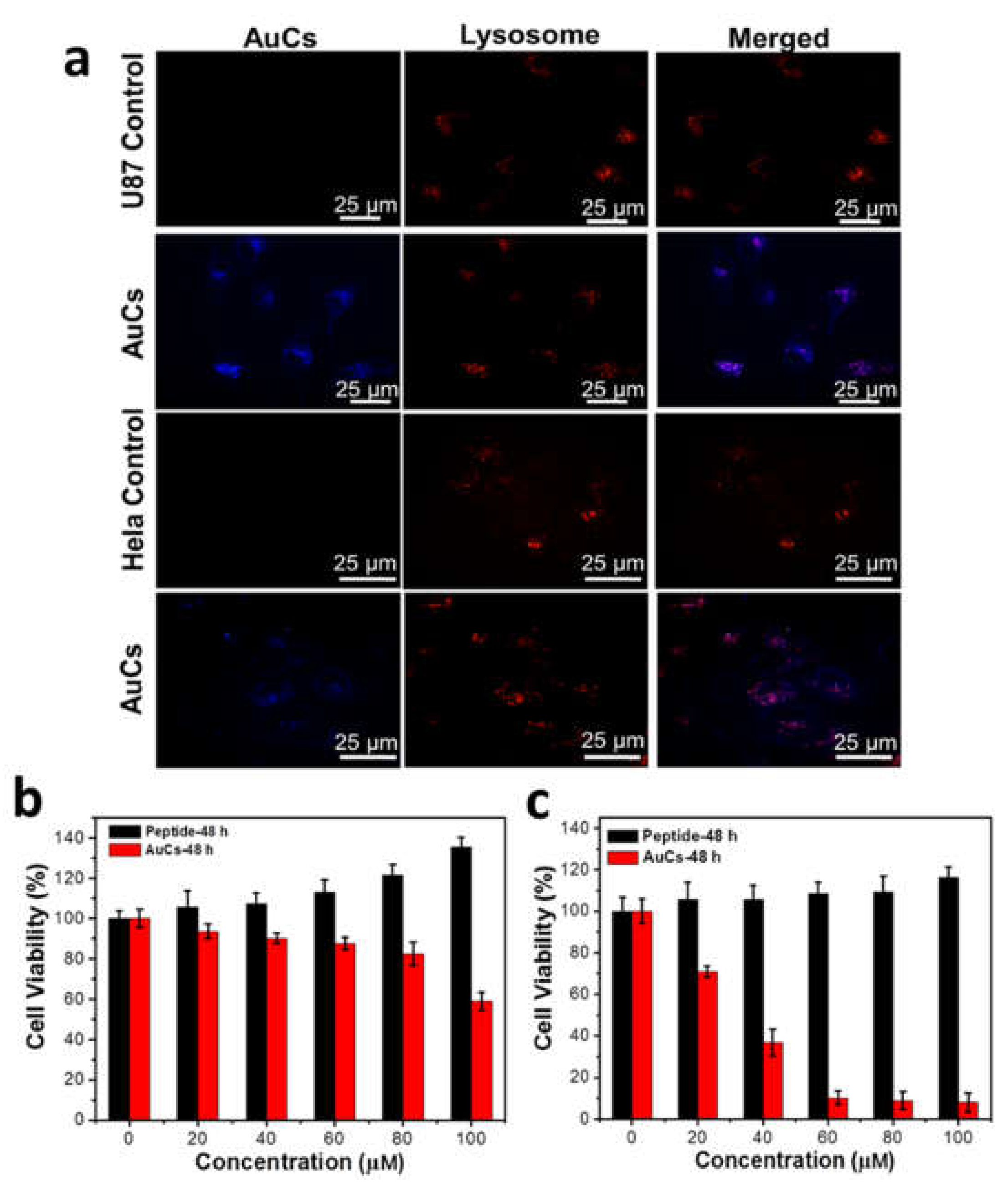 Nanomaterials 08 01040 g003 Nanomaterials 08 01040 g003