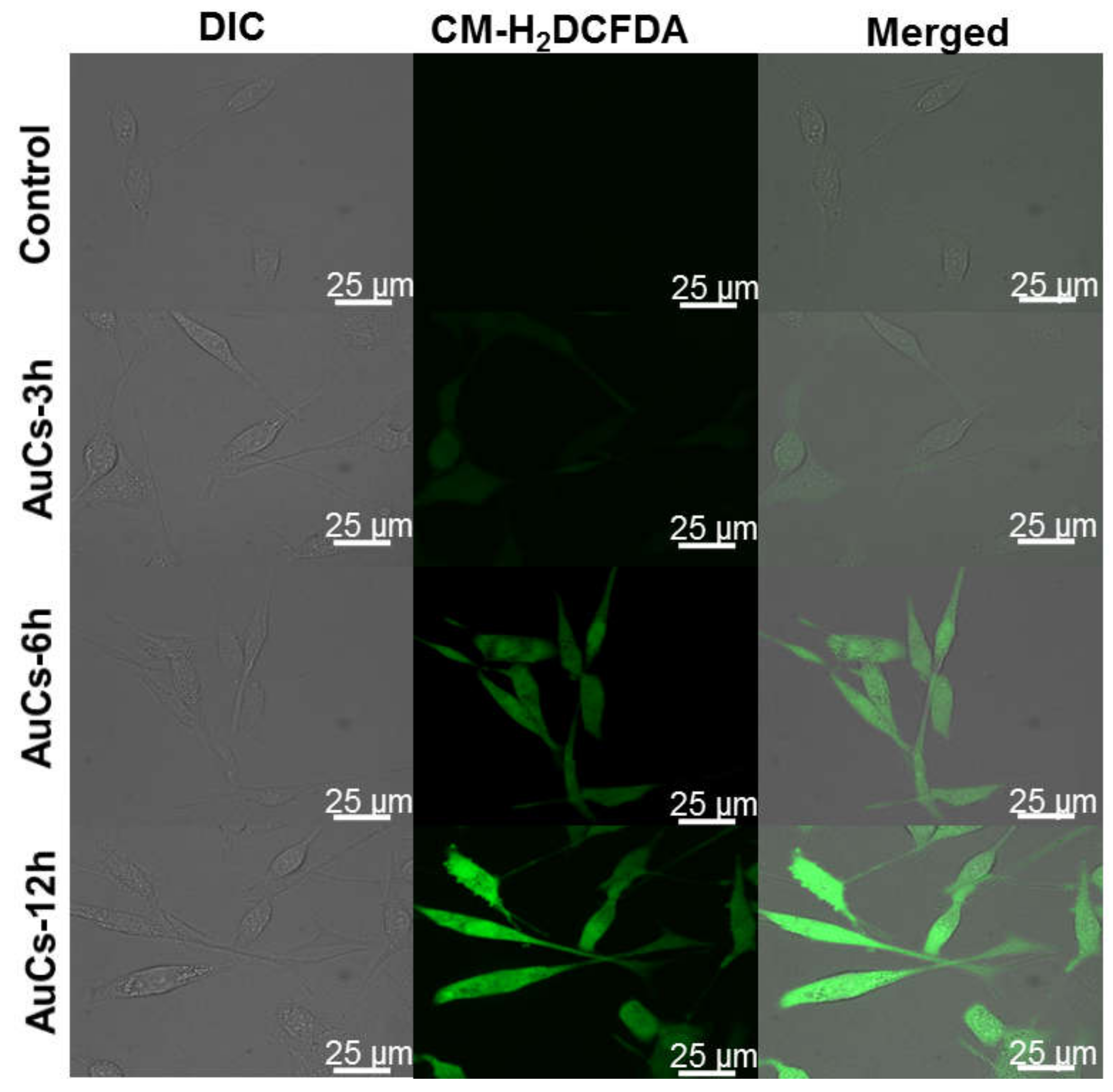 Nanomaterials 08 01040 g005 Nanomaterials 08 01040 g005