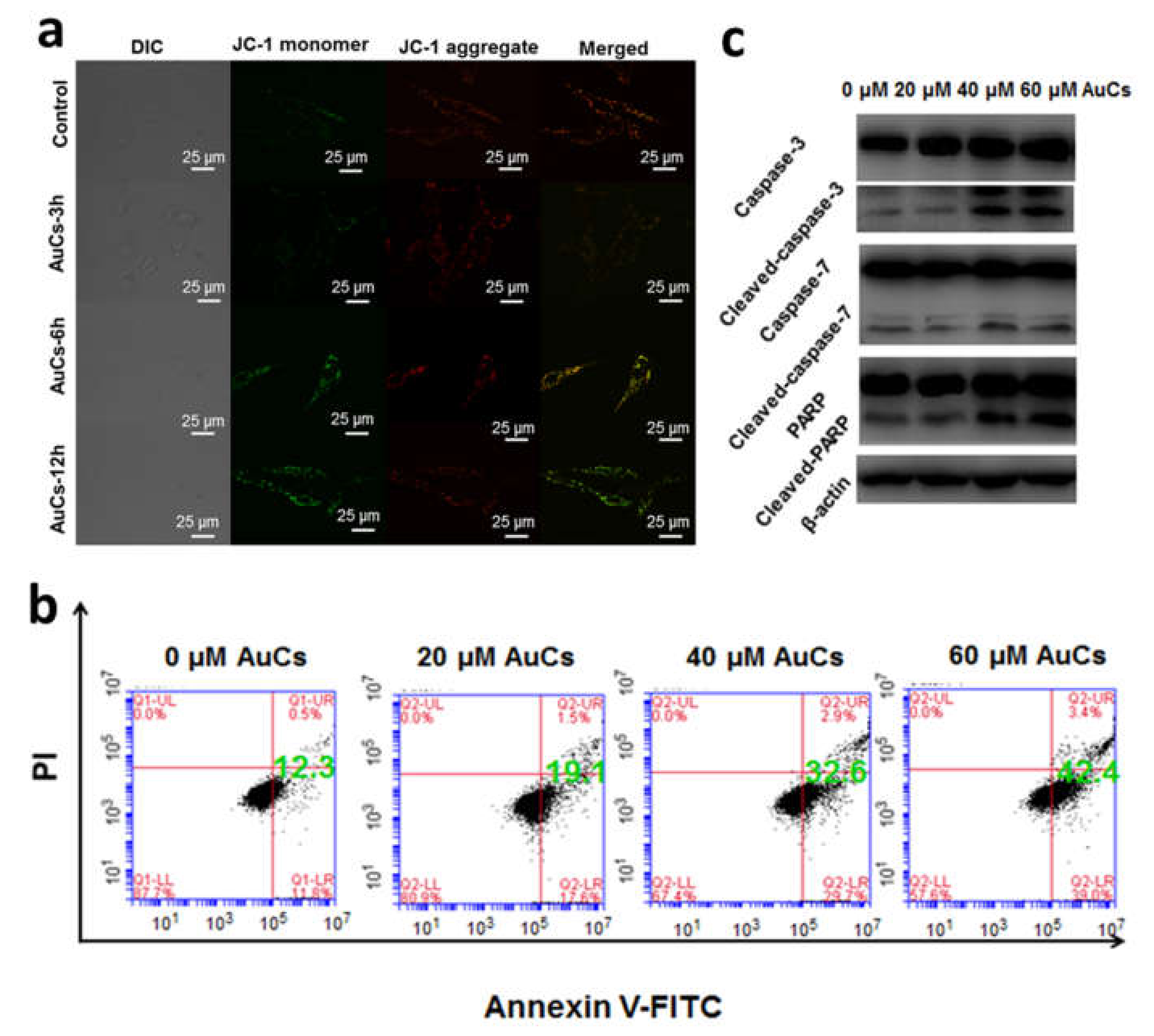 Nanomaterials 08 01040 g006 Nanomaterials 08 01040 g006