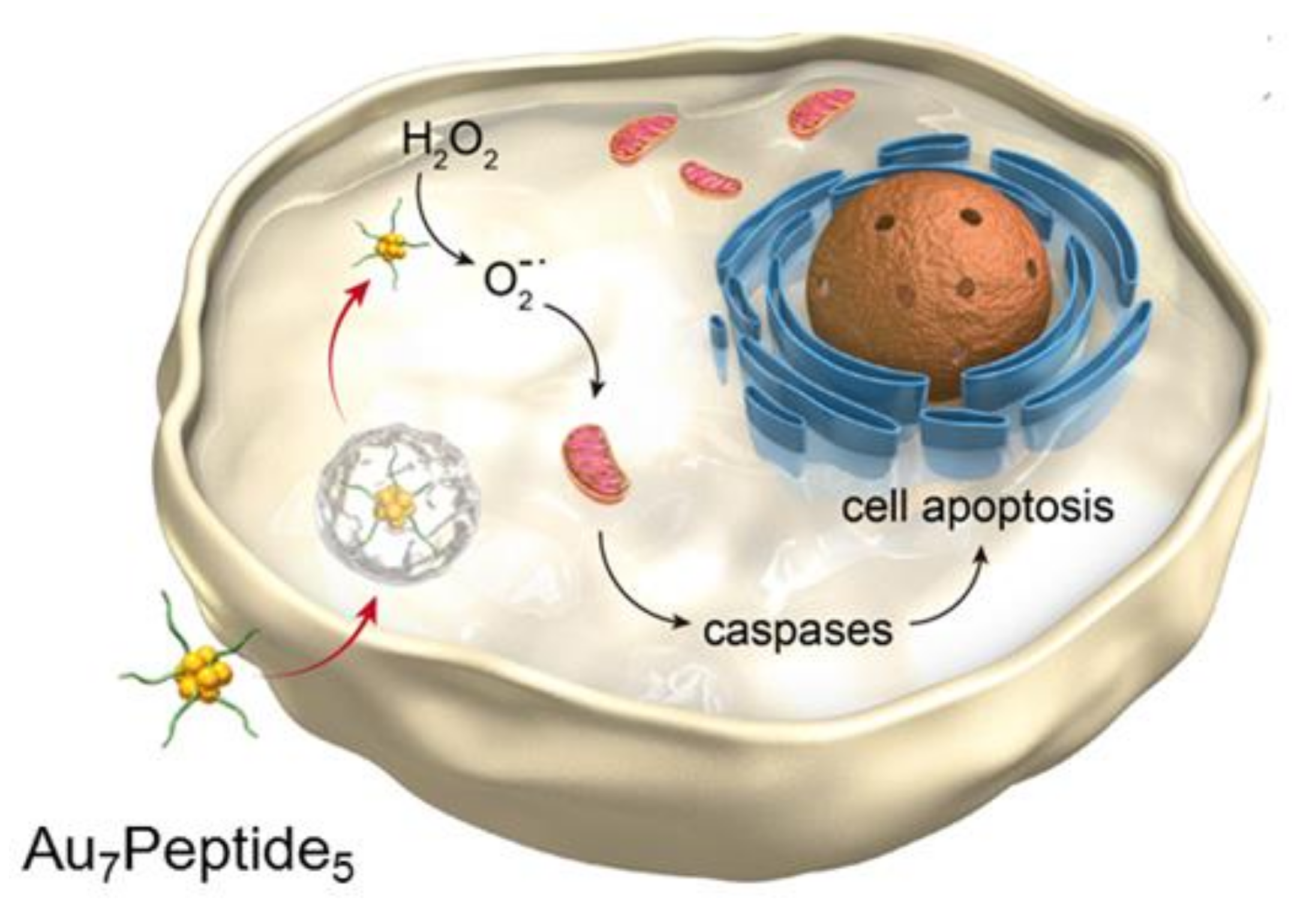 Nanomaterials 08 01040 sch001 Nanomaterials 08 01040 sch001