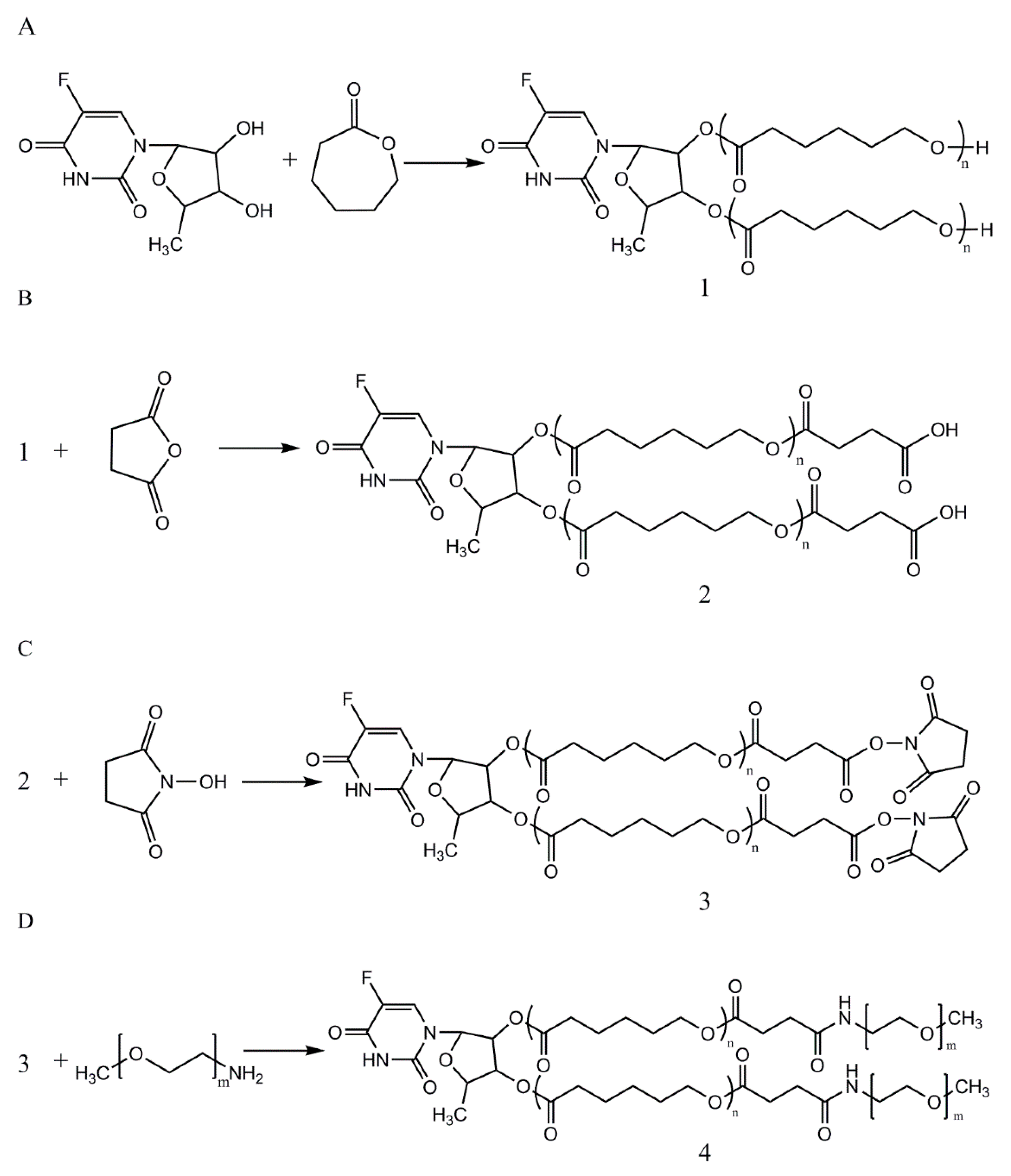 Nanomaterials 08 01041 g001