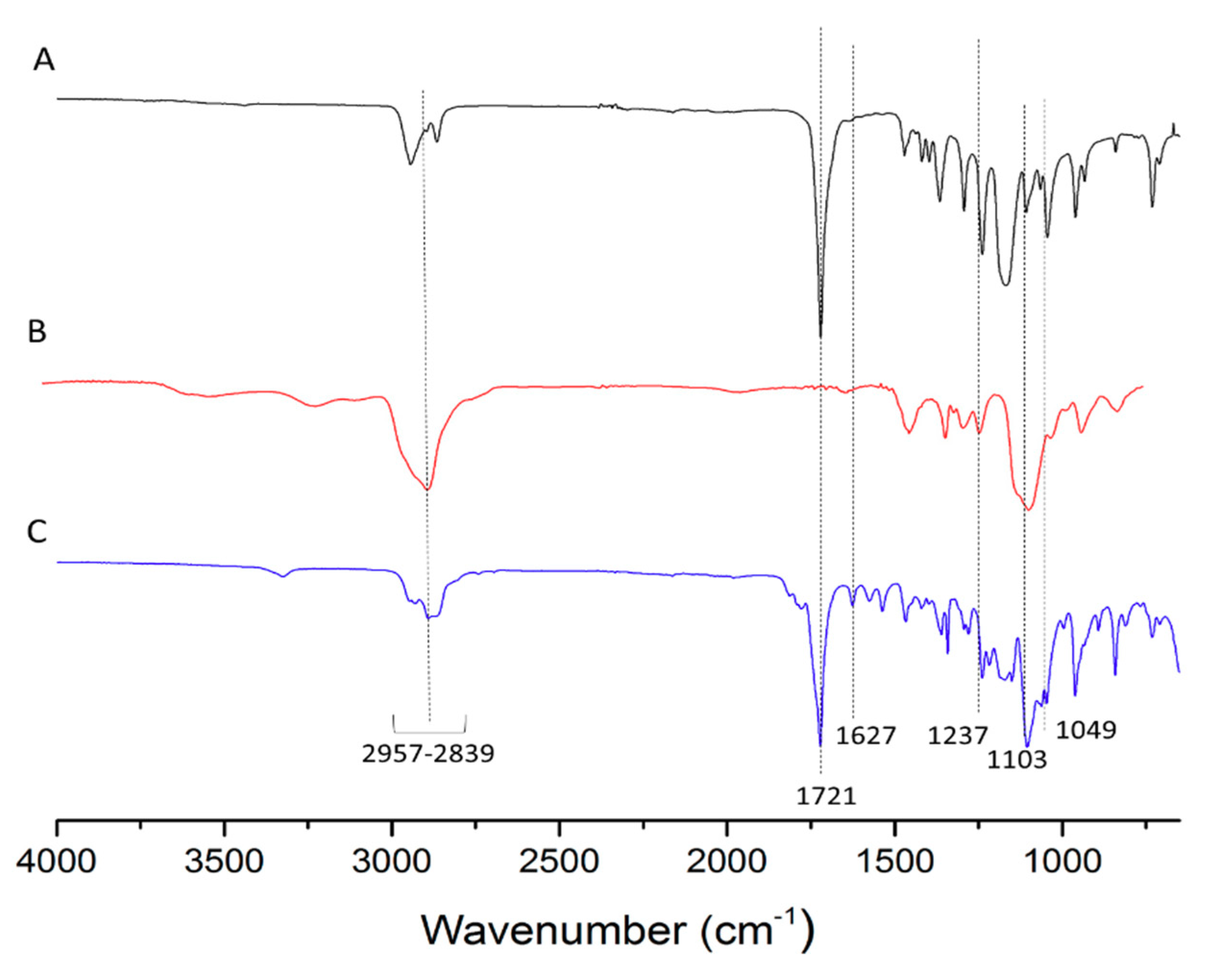 Nanomaterials 08 01041 g004
