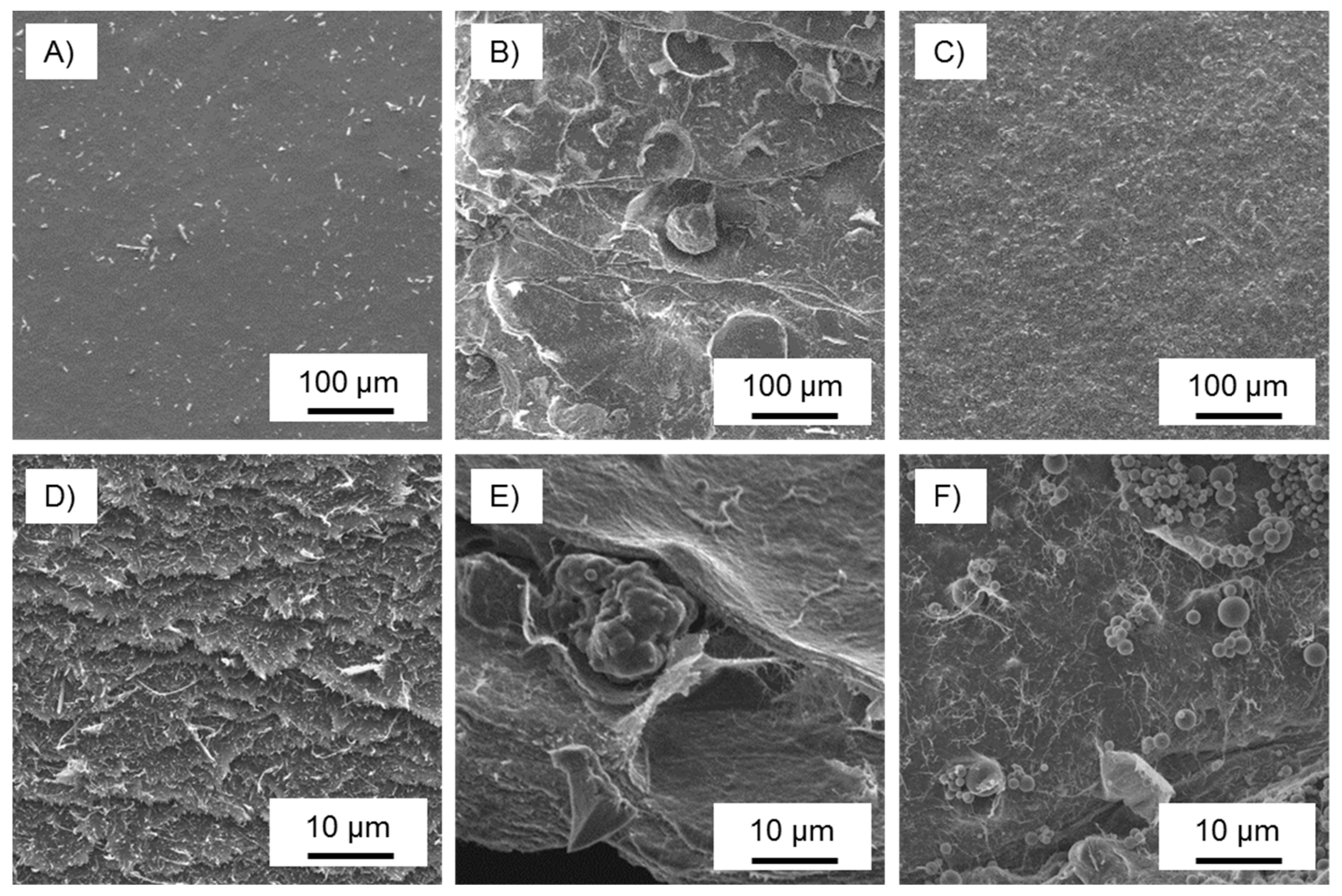 Nanomaterials 08 01055 g005