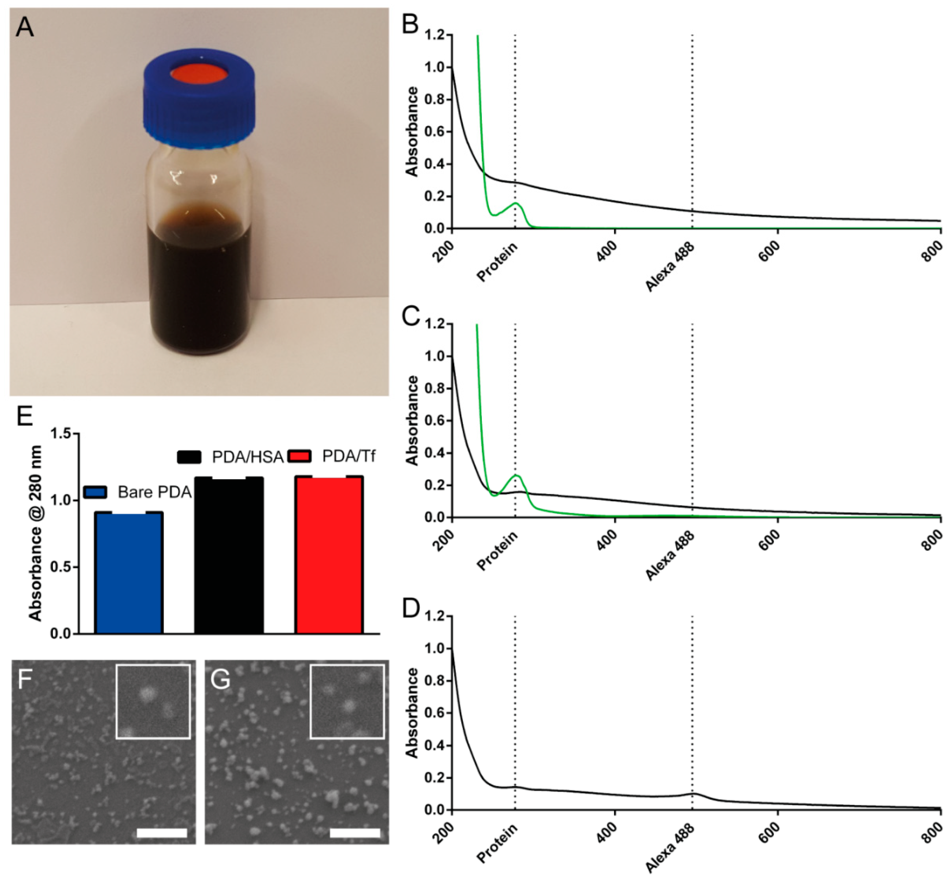 Nanomaterials 08 01065 g001 Nanomaterials 08 01065 g001