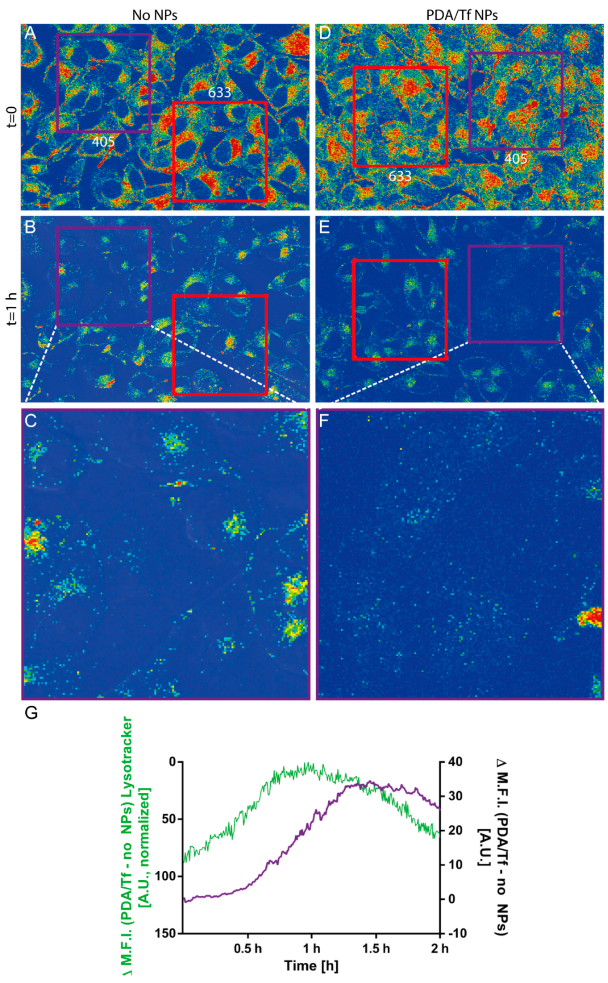 Nanomaterials 08 01065 g007 Nanomaterials 08 01065 g007