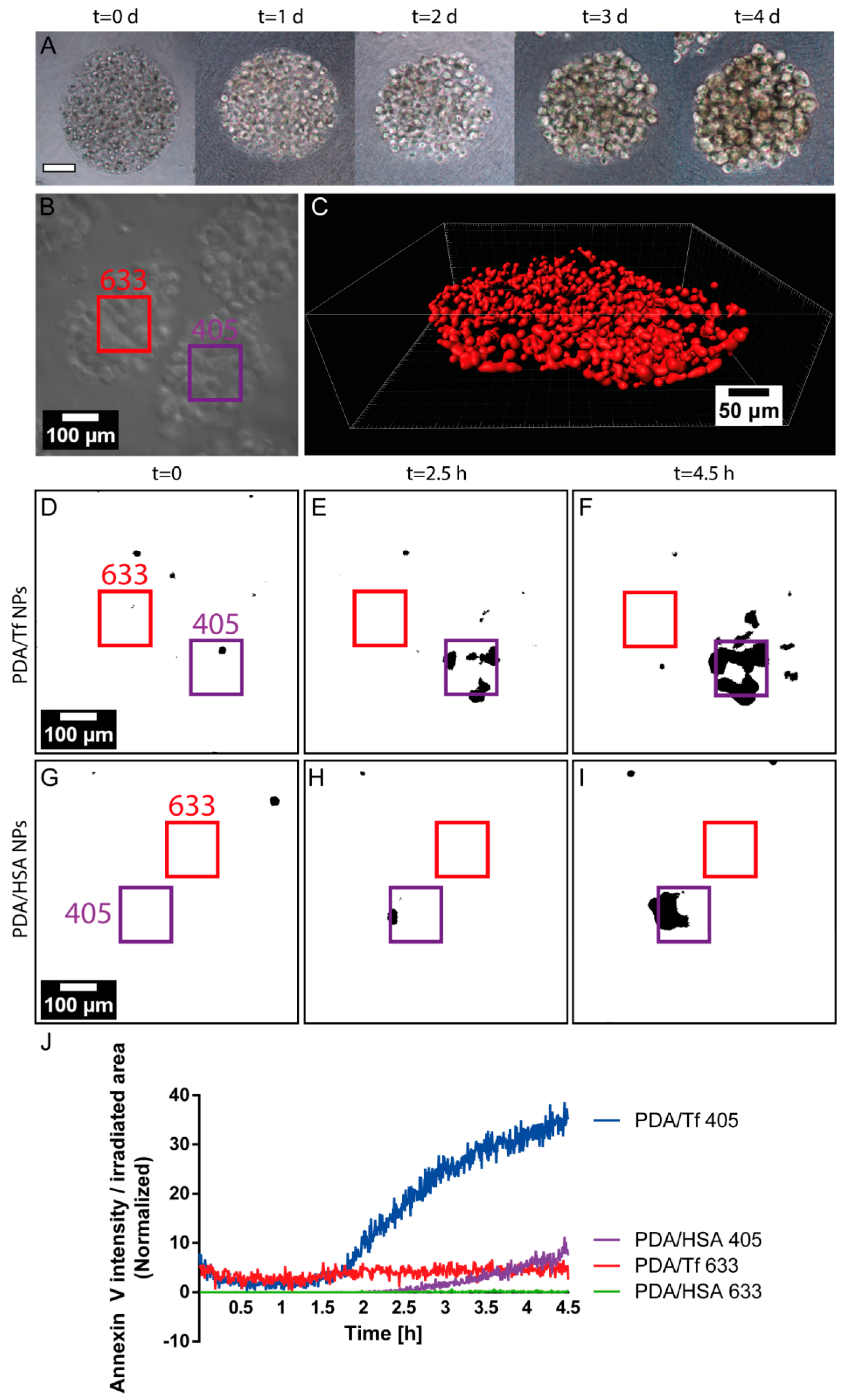 Nanomaterials 08 01065 g008 Nanomaterials 08 01065 g008