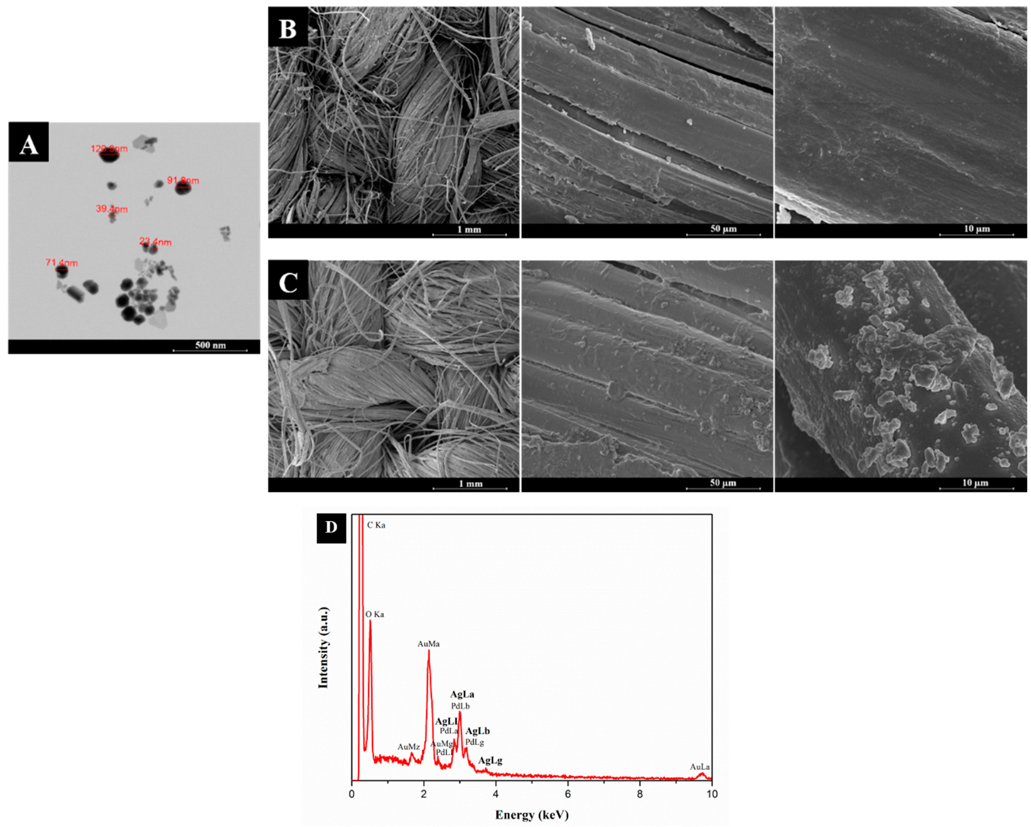 Nanomaterials 08 01069 g003 Nanomaterials 08 01069 g003