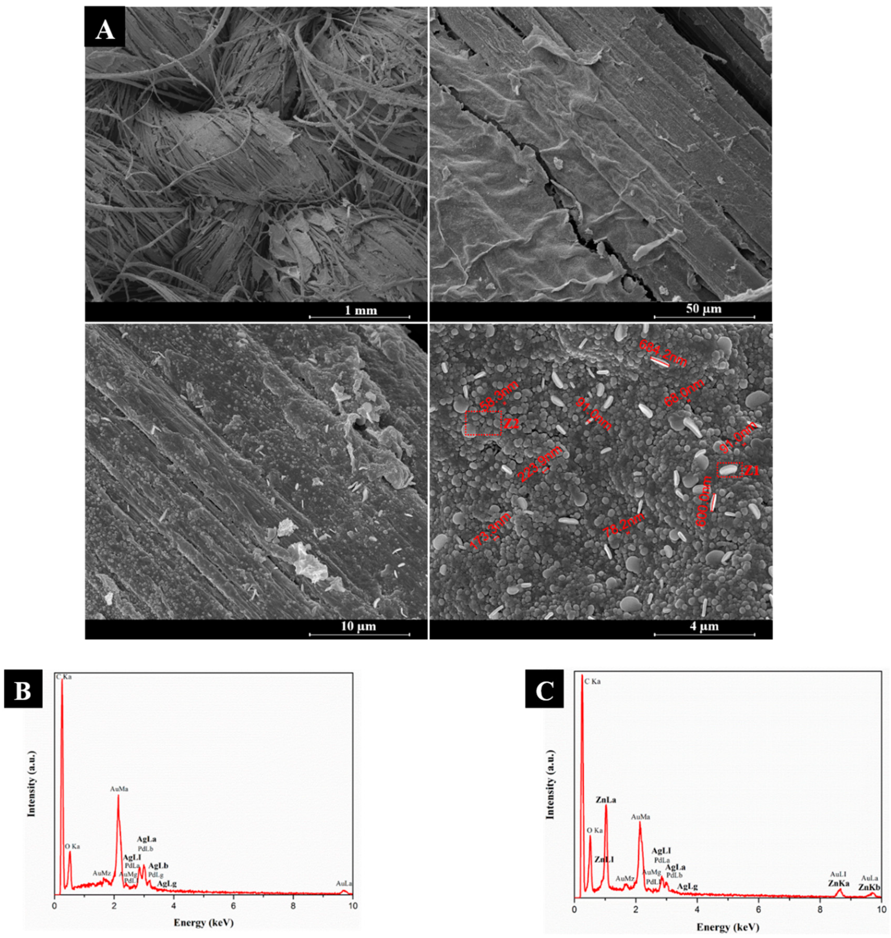 Nanomaterials 08 01069 g004 Nanomaterials 08 01069 g004