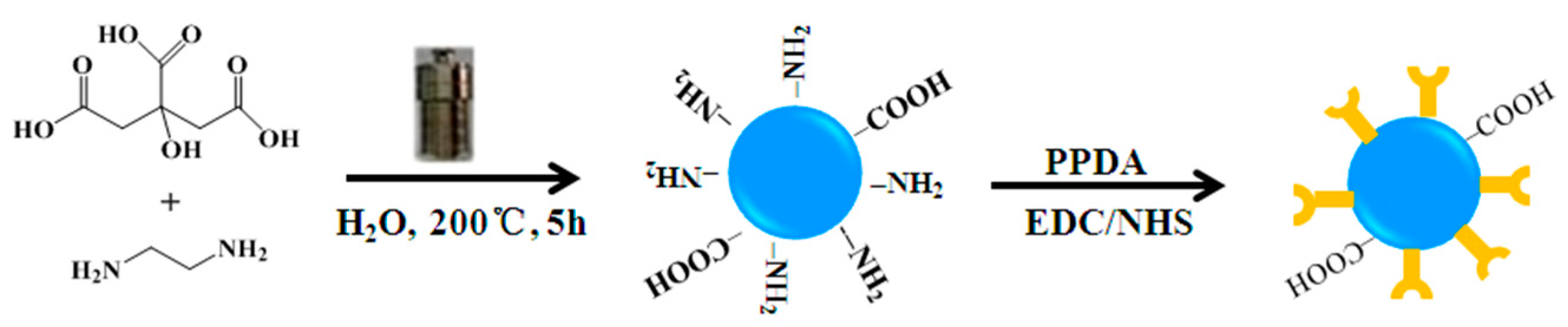 Nanomaterials 08 01071 g002