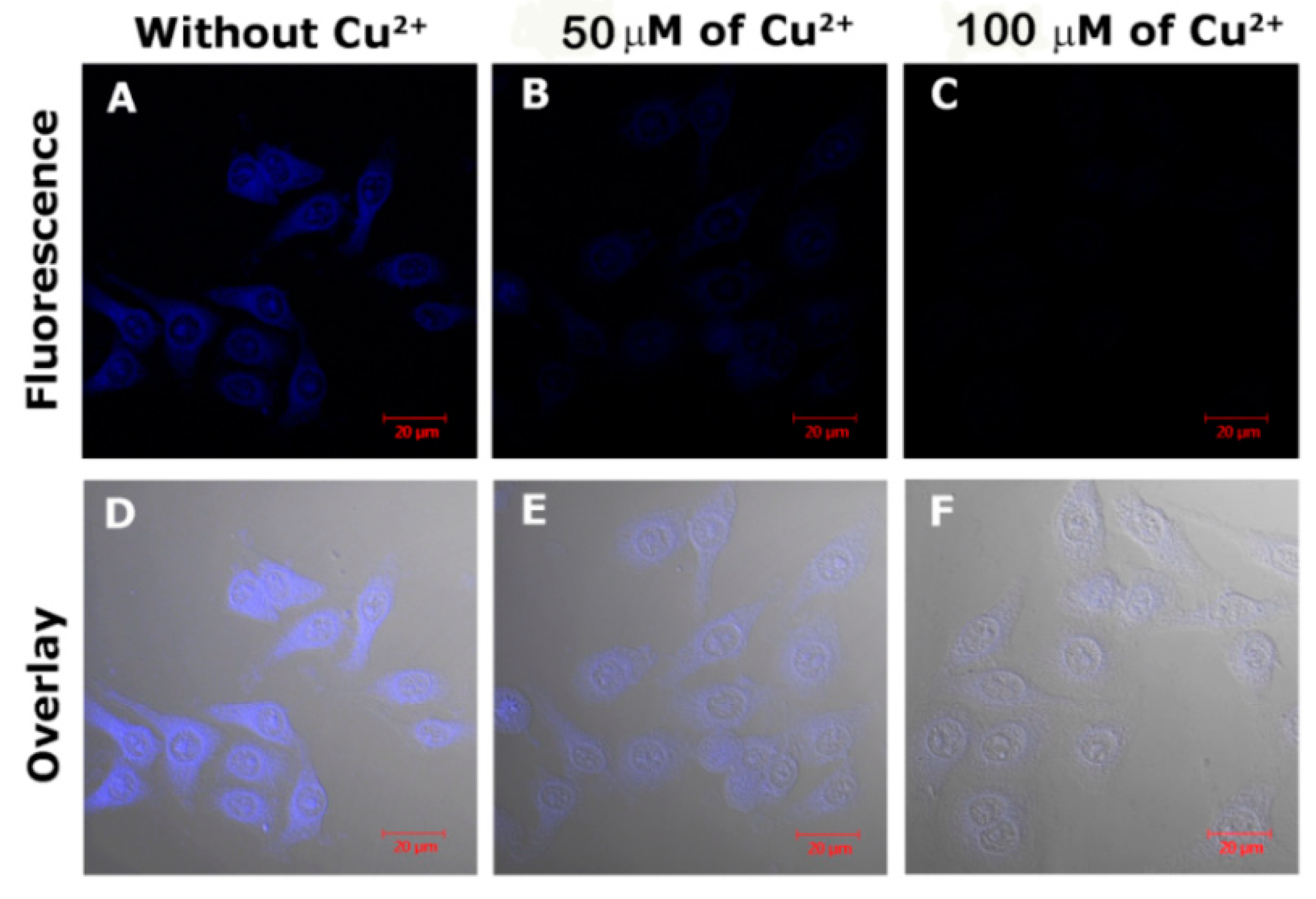 Nanomaterials 08 01071 g009