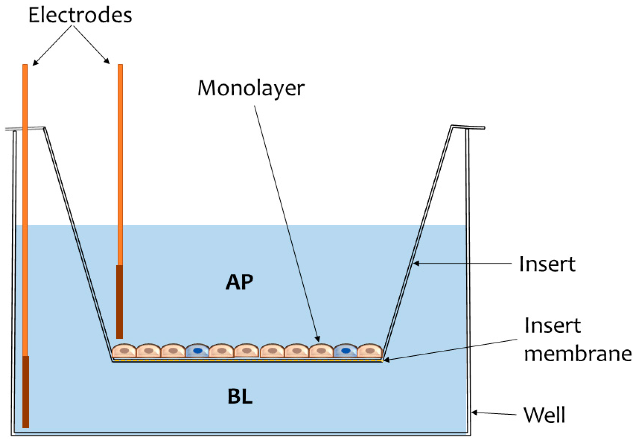 Nanomaterials 09 00005 g001