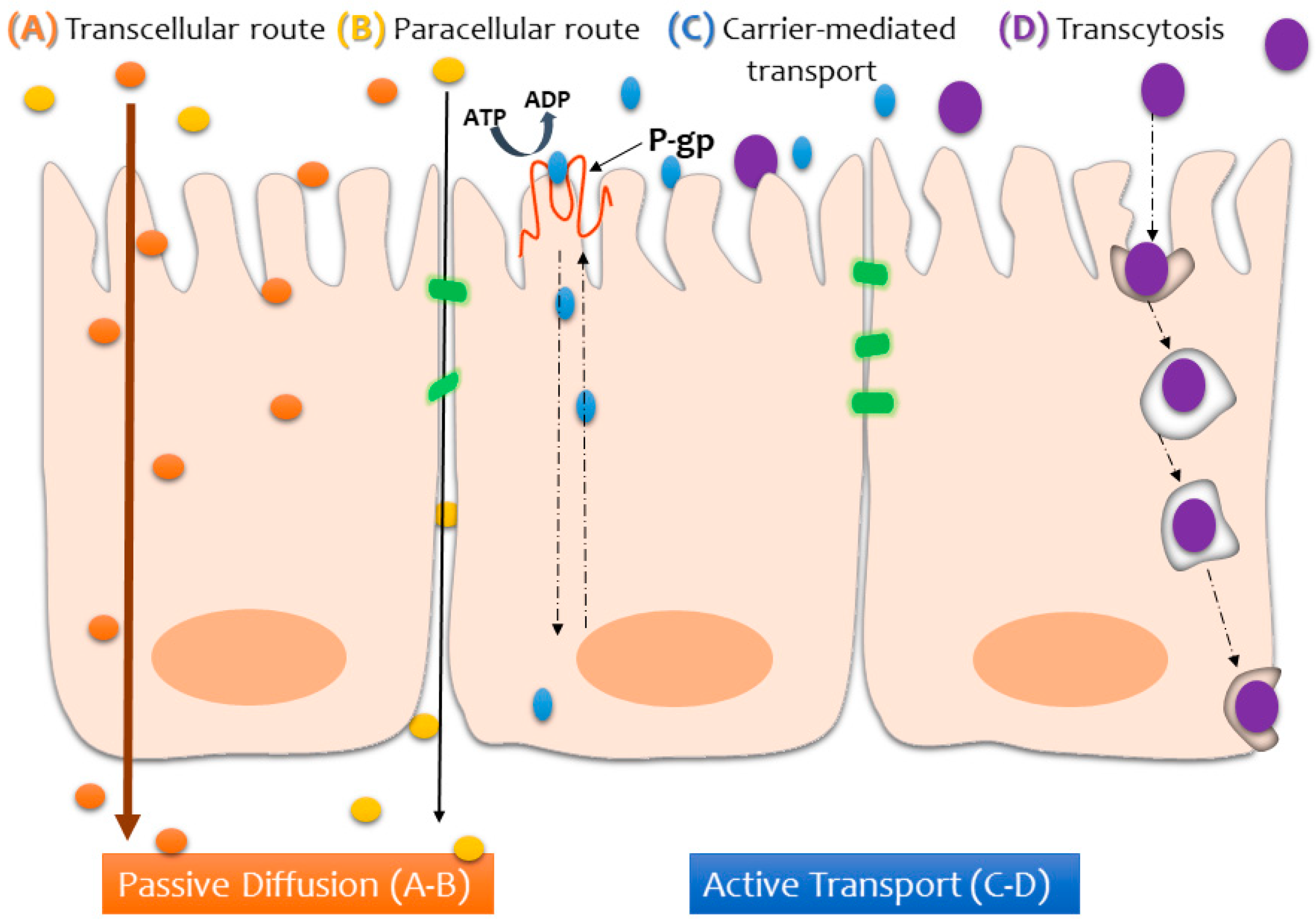 Nanomaterials 09 00005 g002