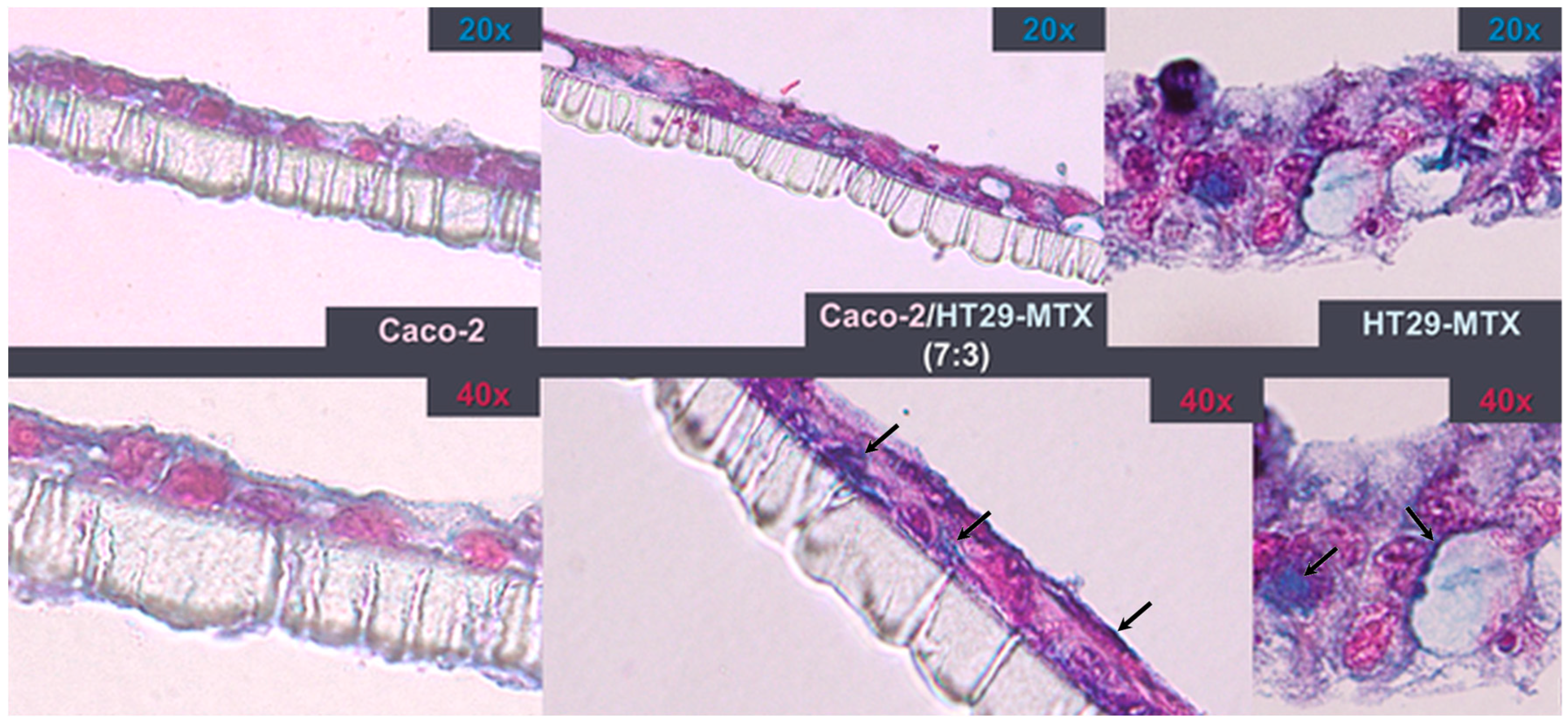Nanomaterials 09 00005 g005