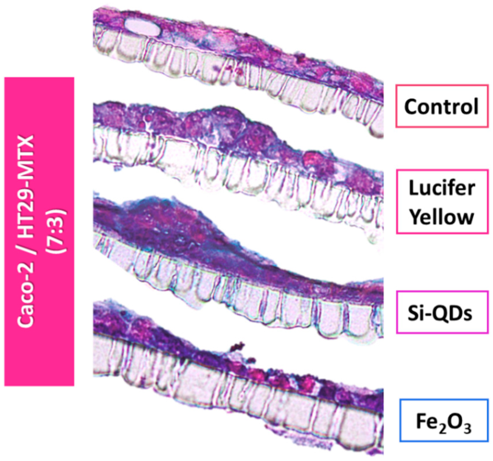 Nanomaterials 09 00005 g006