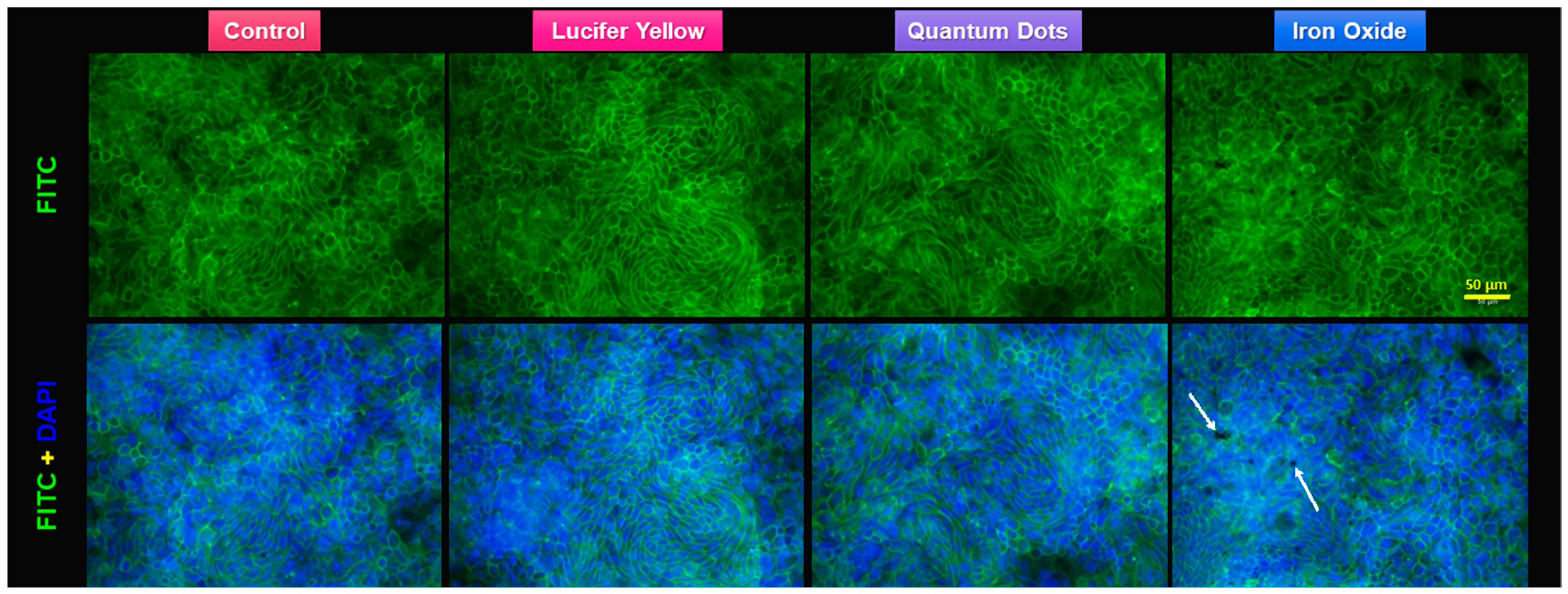 Nanomaterials 09 00005 g007