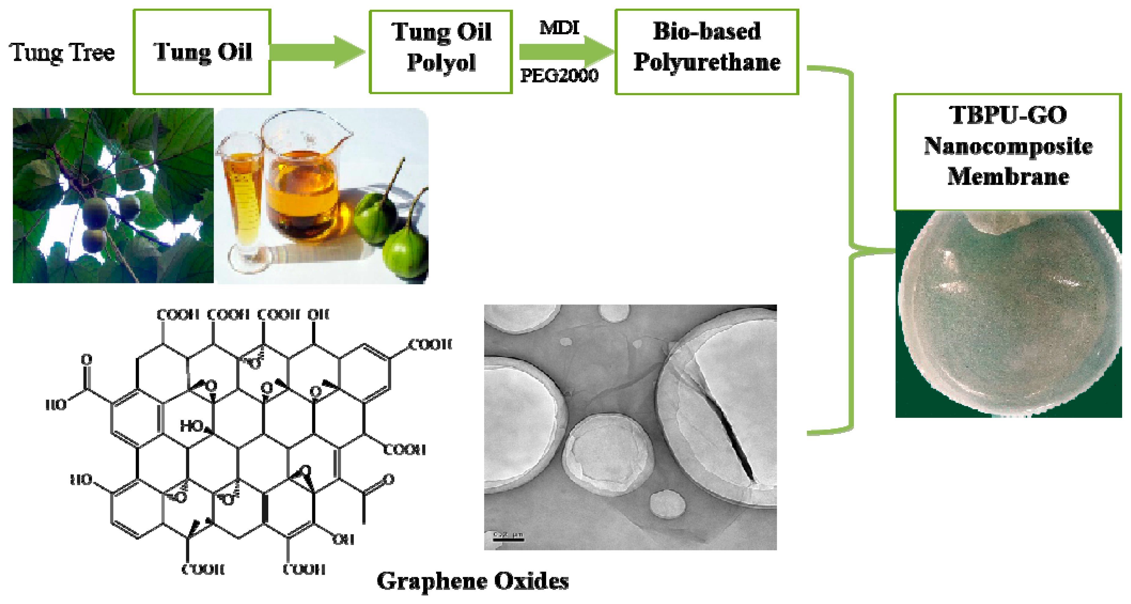 Nanomaterials 09 00015 g001