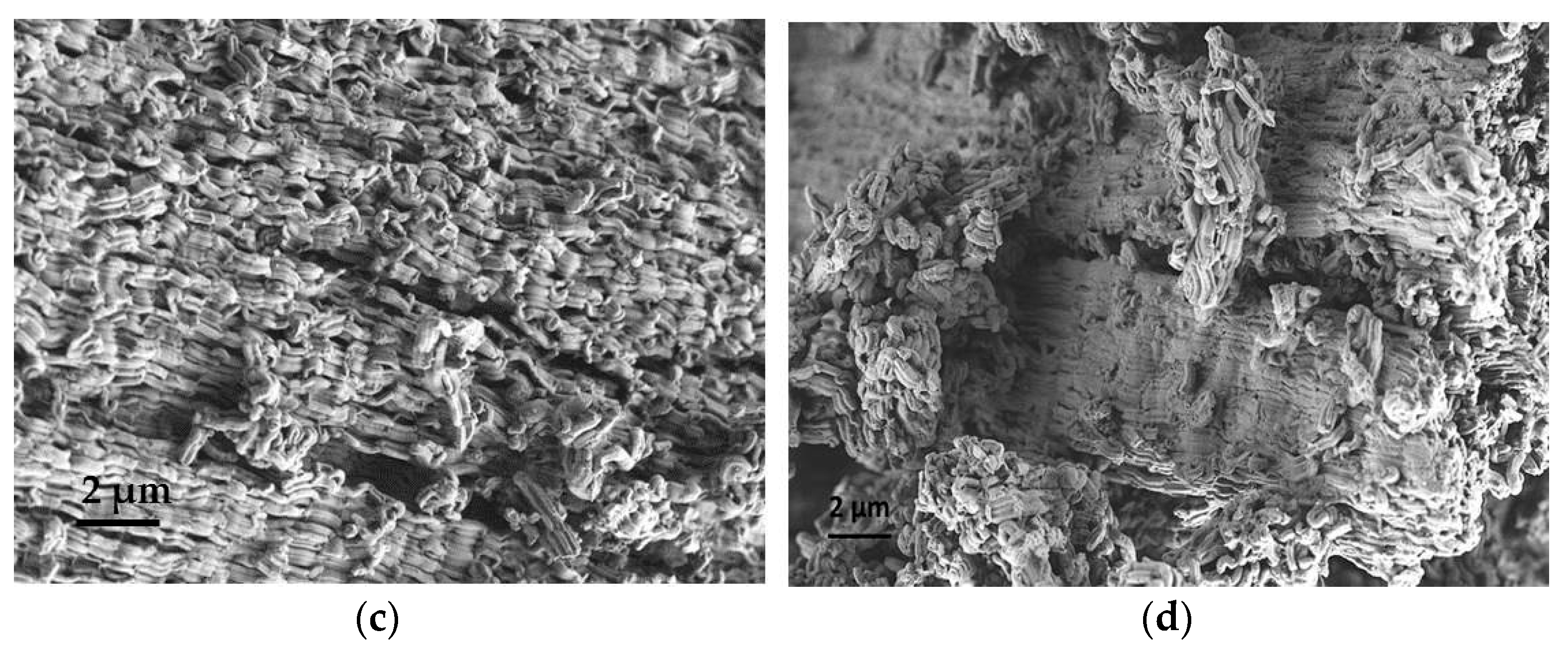 Nanomaterials 09 00027 g002b