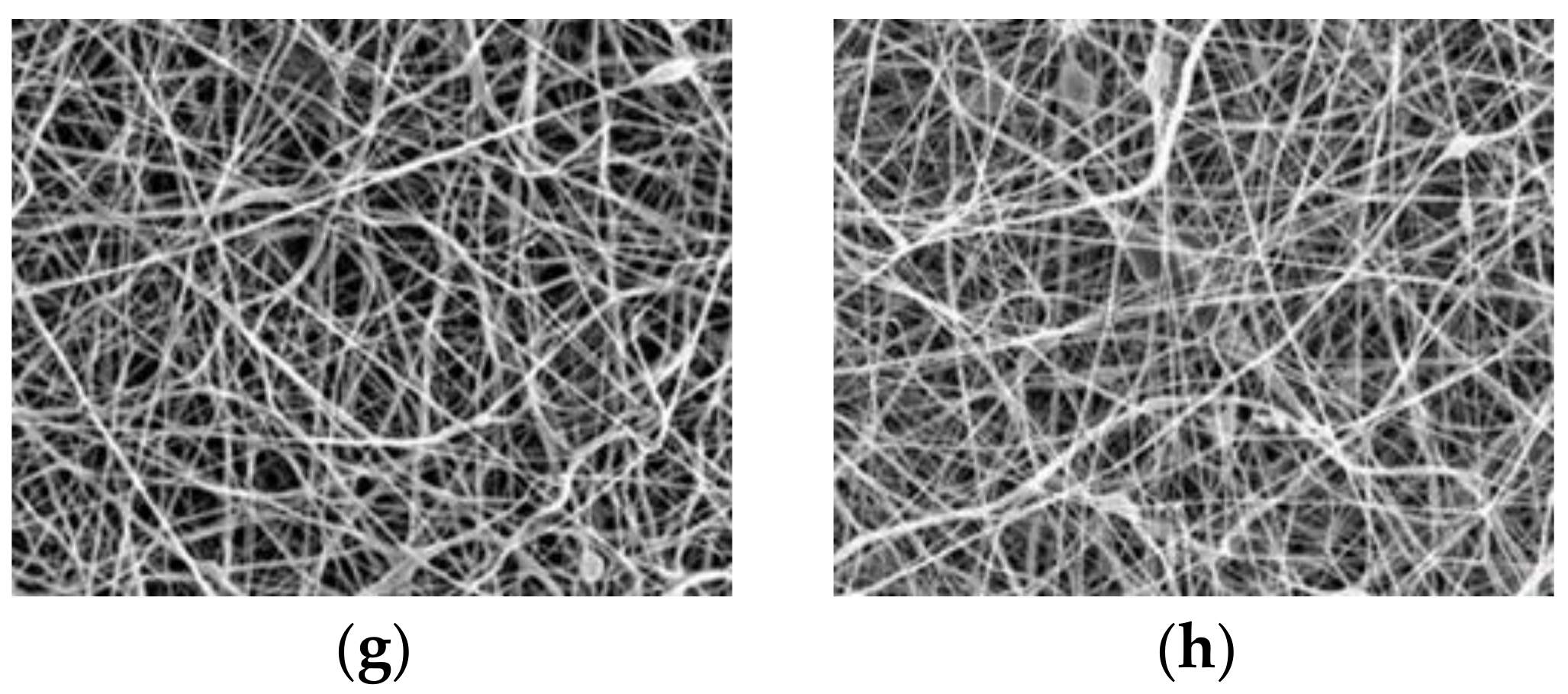 Nanomaterials 09 00034 g004b Nanomaterials 09 00034 g004b