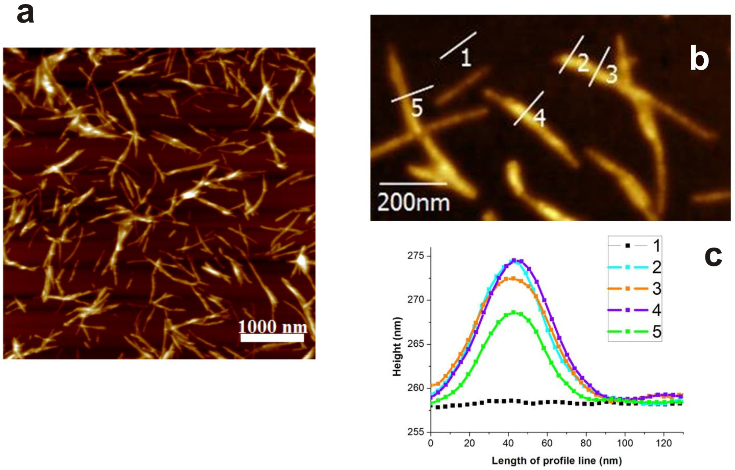 Nanomaterials 09 00037 g001 Nanomaterials 09 00037 g001