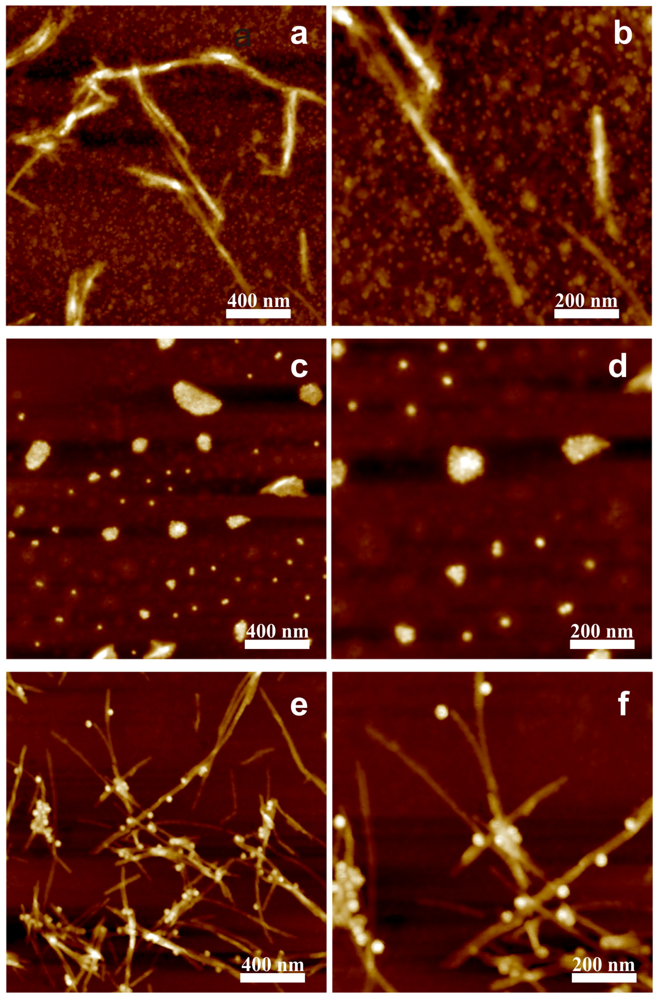 Nanomaterials 09 00037 g003 Nanomaterials 09 00037 g003