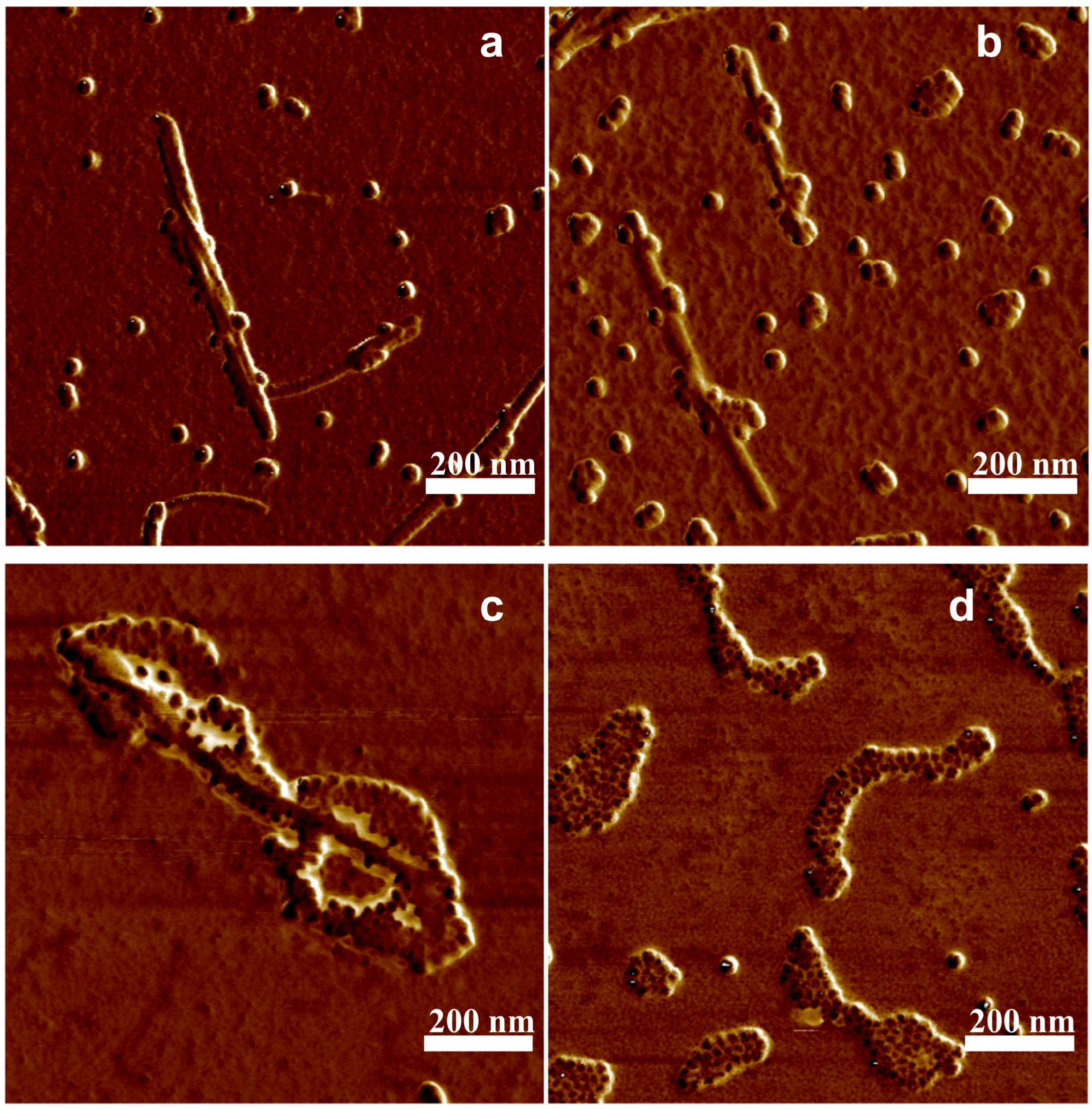 Nanomaterials 09 00037 g005 Nanomaterials 09 00037 g005