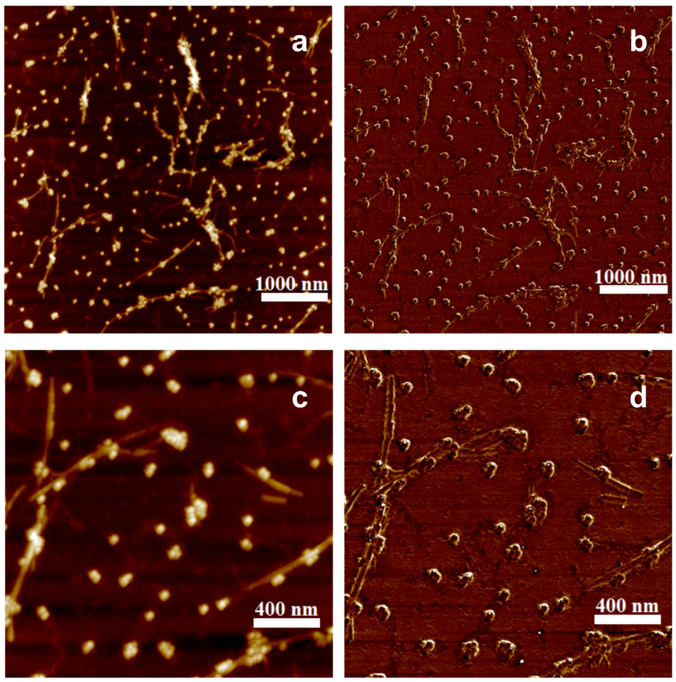 Nanomaterials 09 00037 g006 Nanomaterials 09 00037 g006
