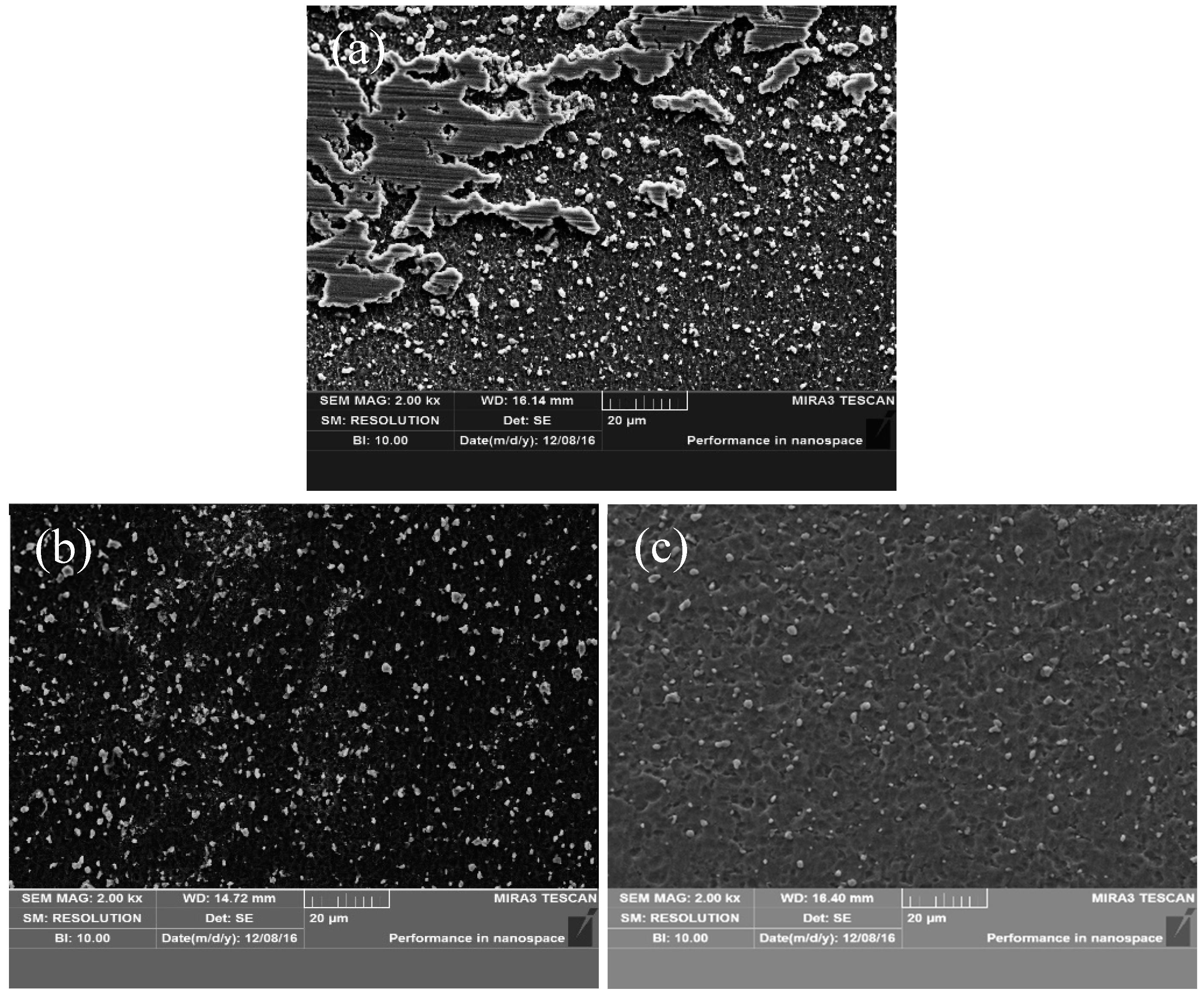 Nanomaterials 09 00057 g003