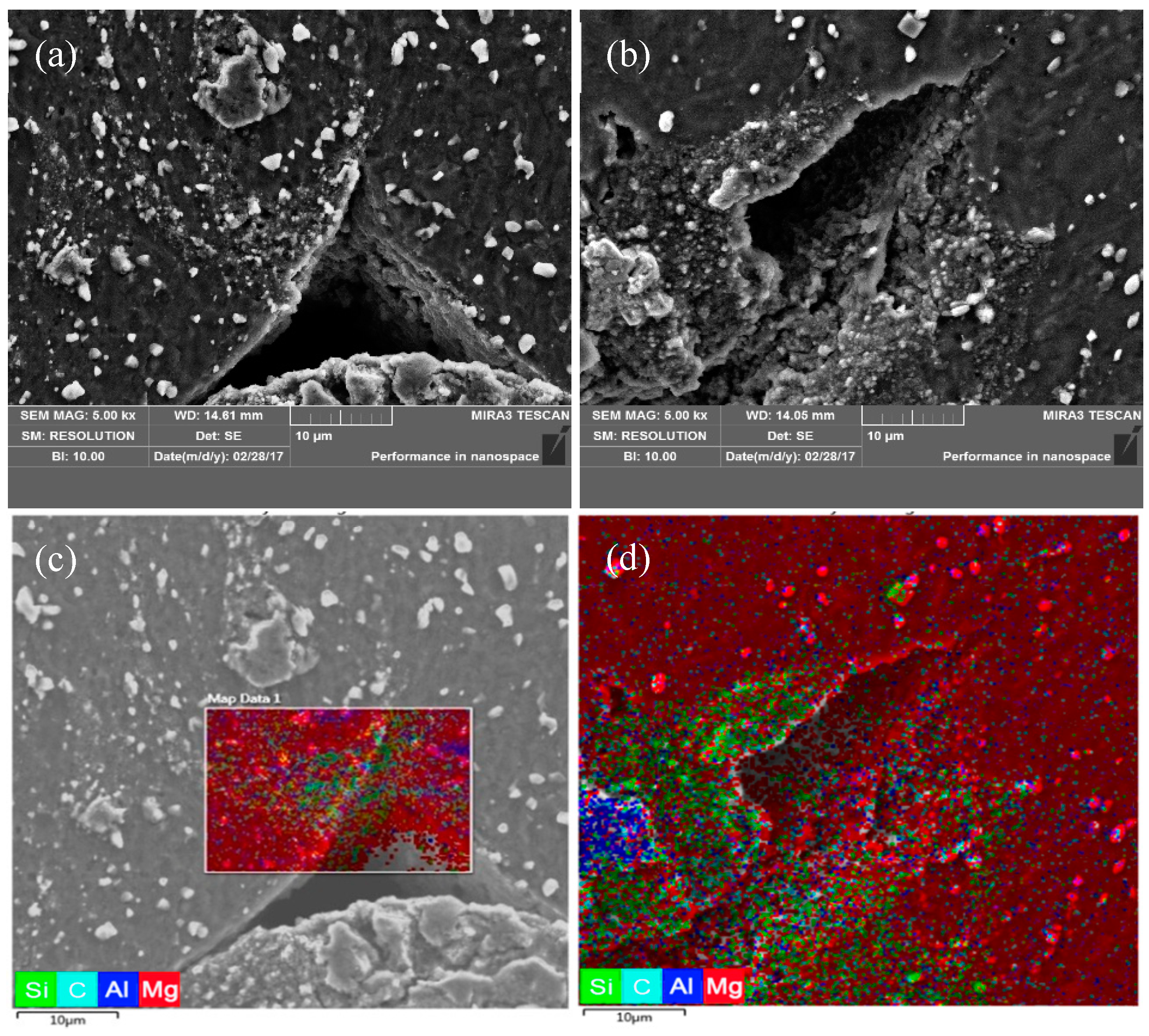 Nanomaterials 09 00057 g012