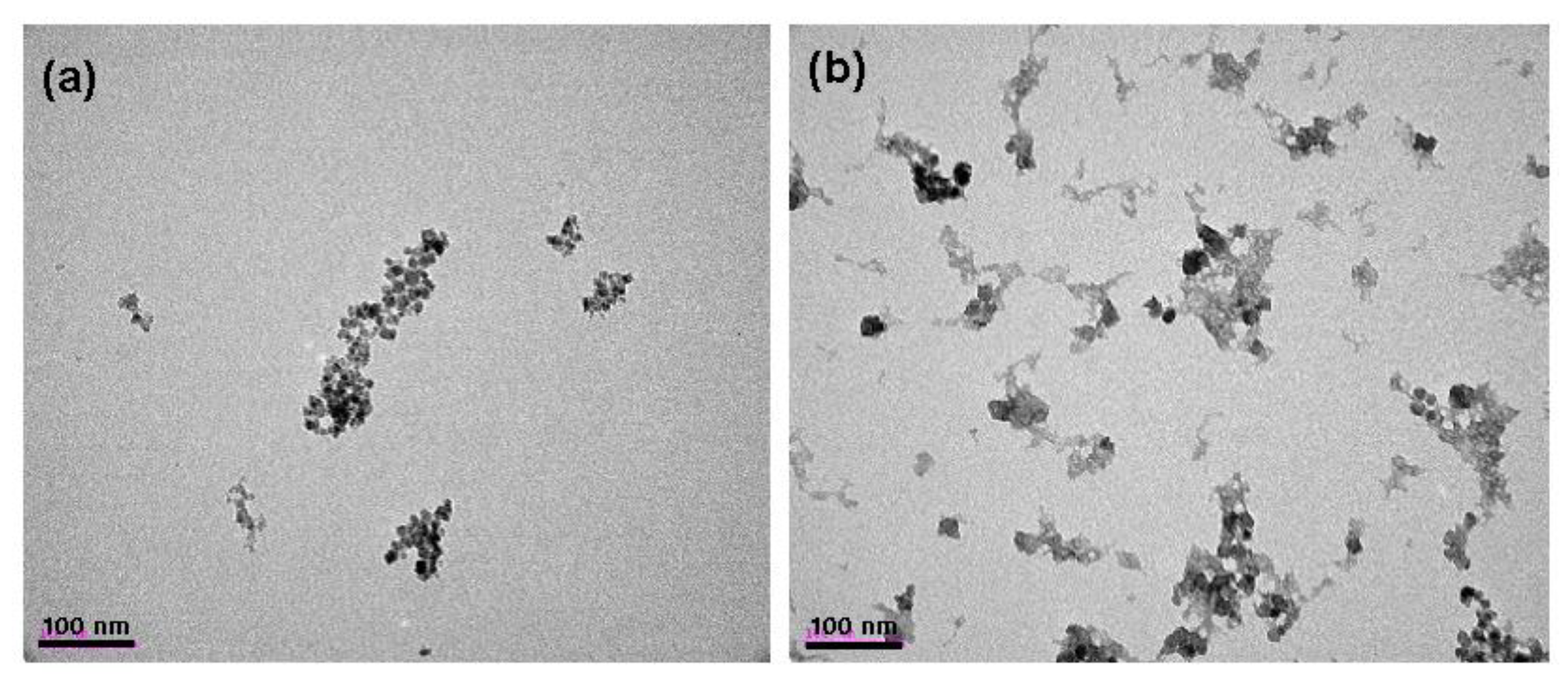 Nanomaterials 09 00062 g001 Nanomaterials 09 00062 g001