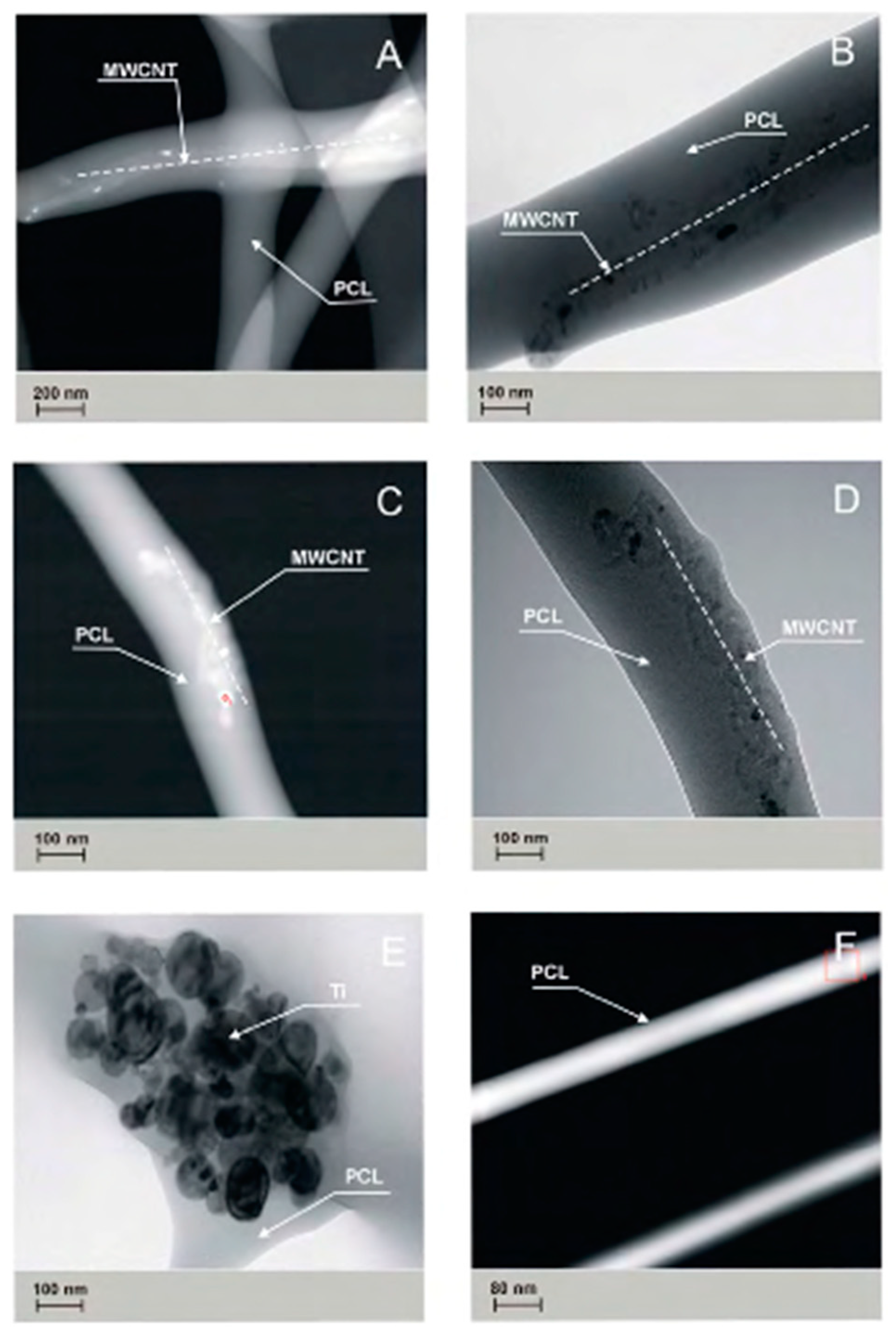Nanomaterials 09 00063 g005