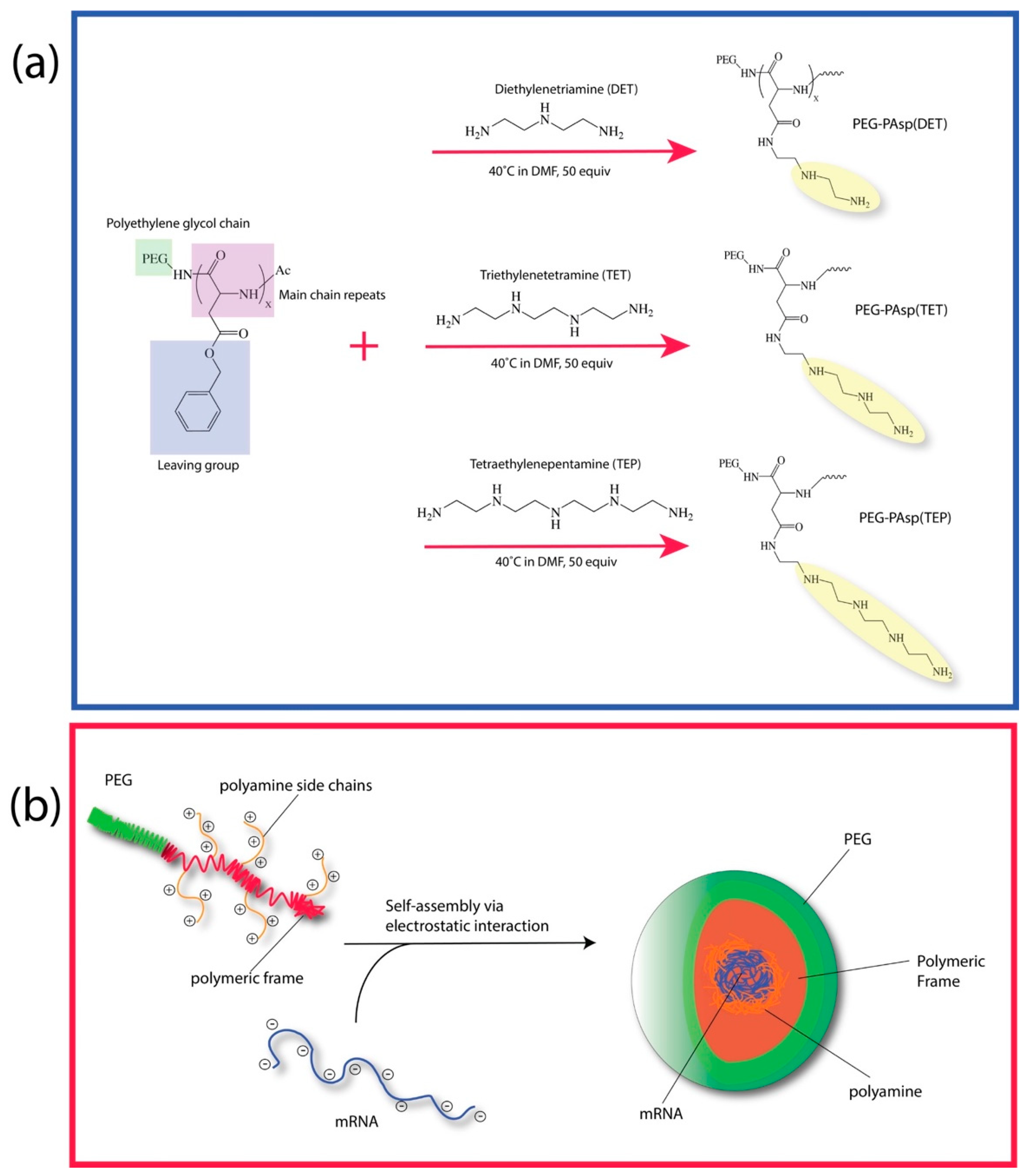 Nanomaterials 09 00067 g001