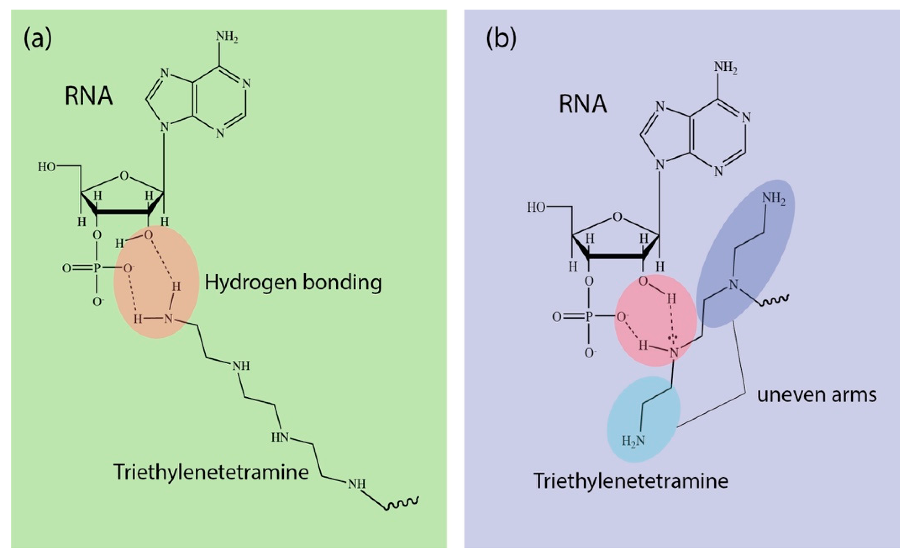 Nanomaterials 09 00067 g004