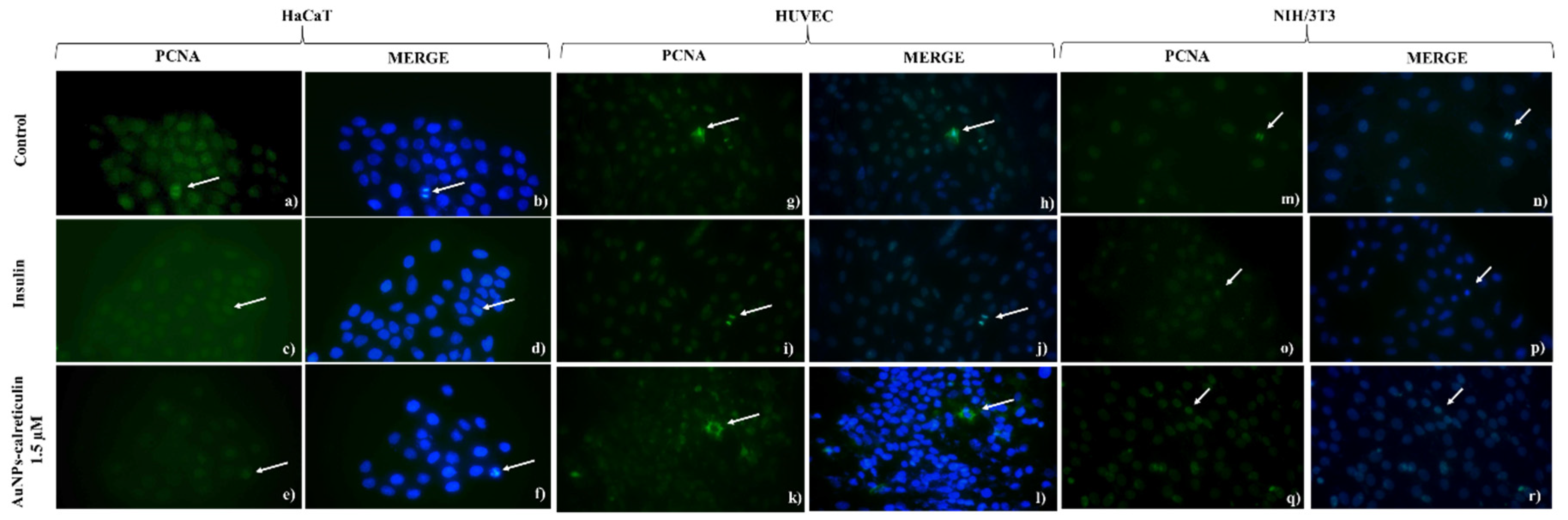 Nanomaterials 09 00075 g007 Nanomaterials 09 00075 g007