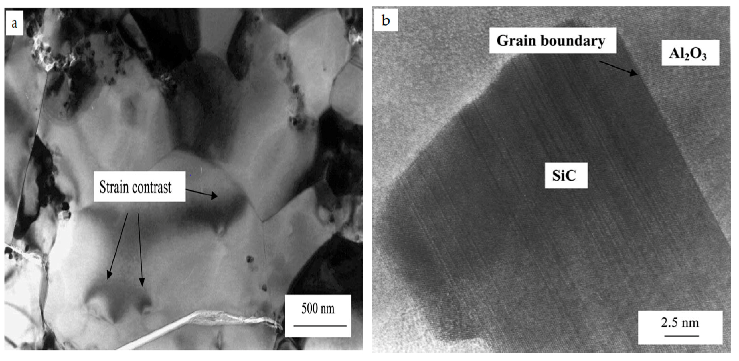 Nanomaterials 09 00086 g005