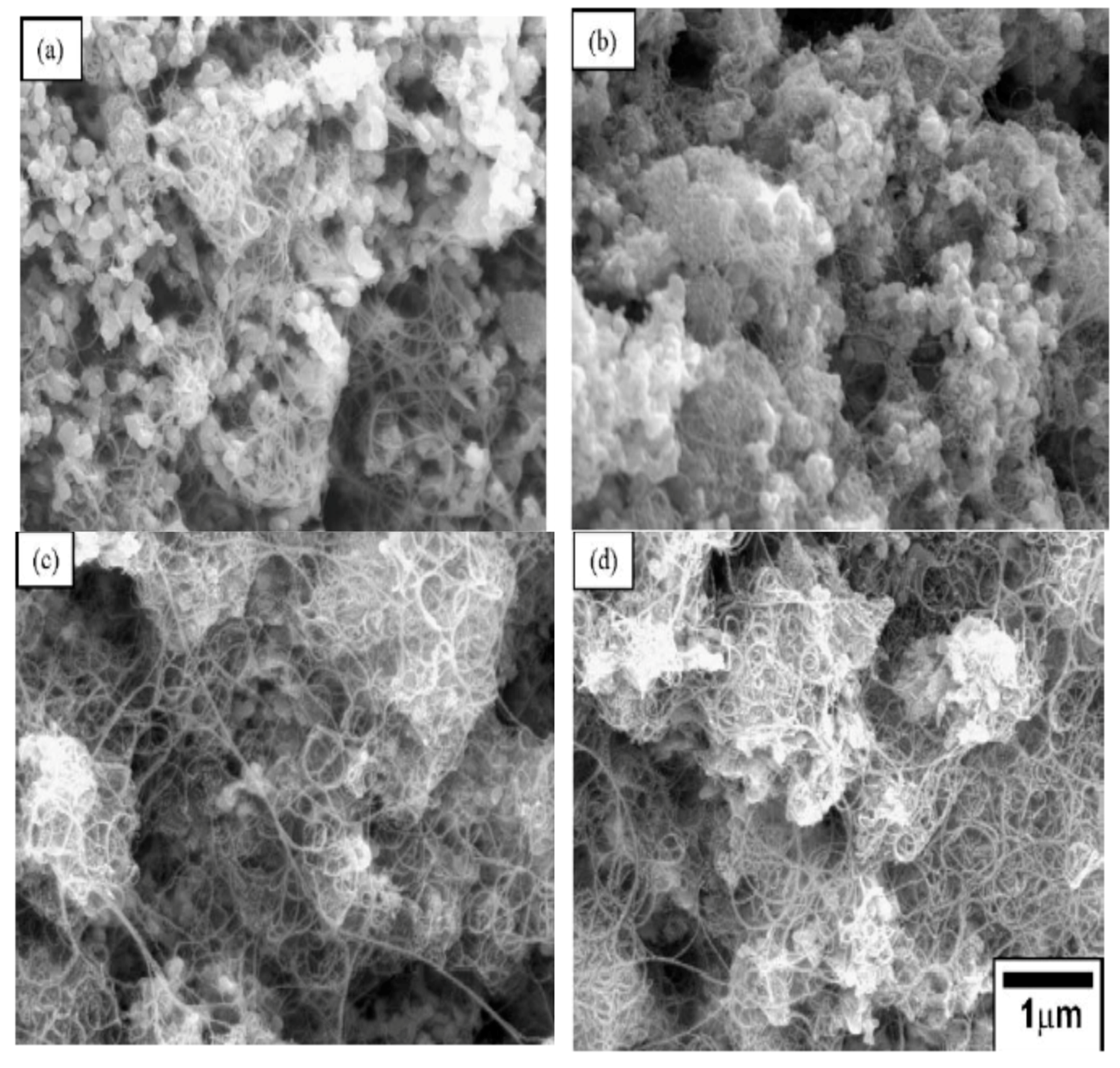 Nanomaterials 09 00086 g007